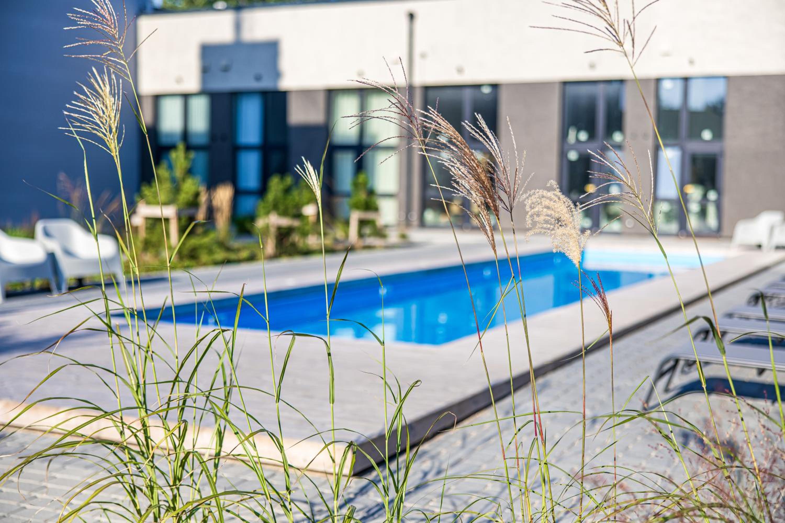 Jaukūs apartamentai Palangoje su baseinu