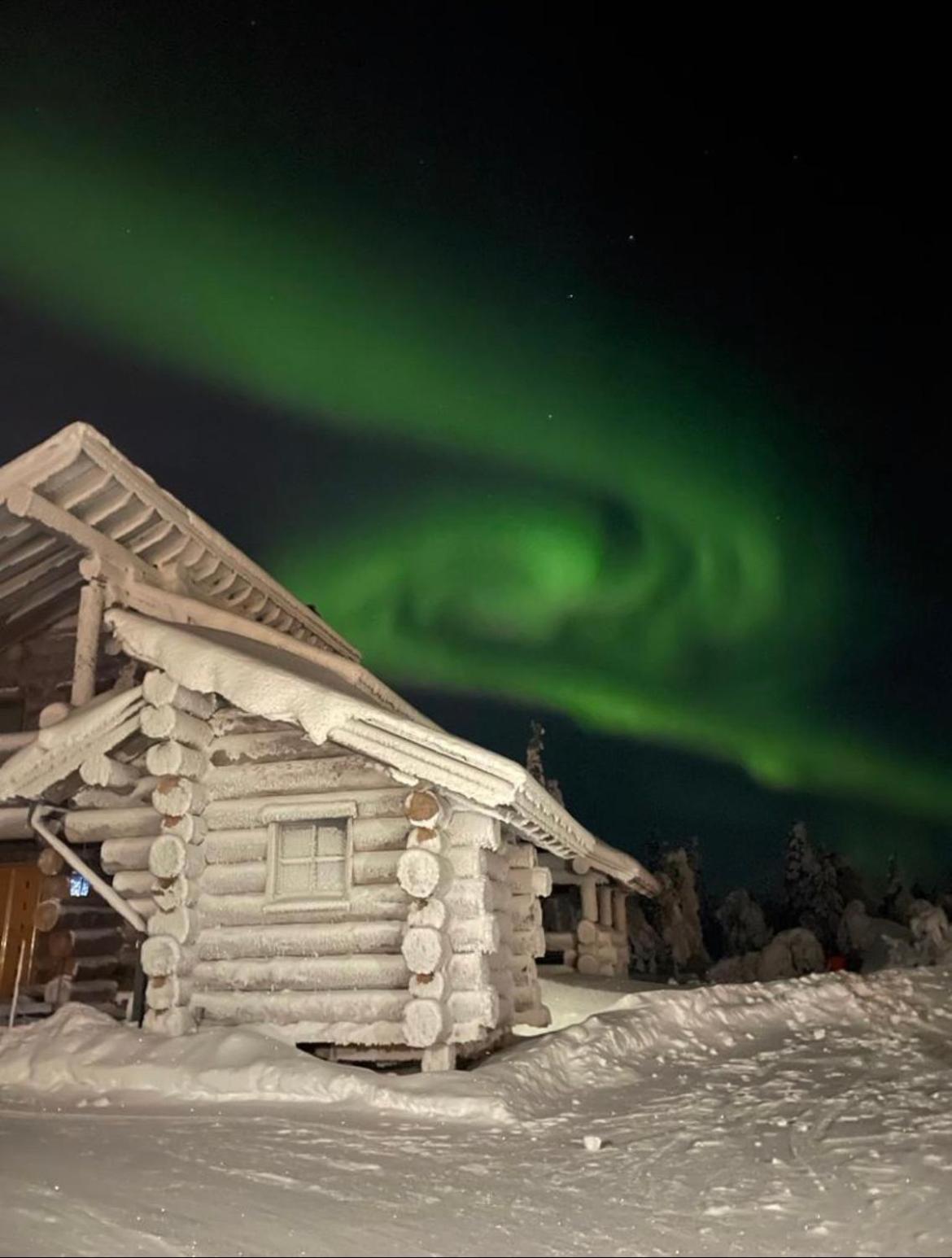 Auroras by Kaltios, Kaltionkuusi