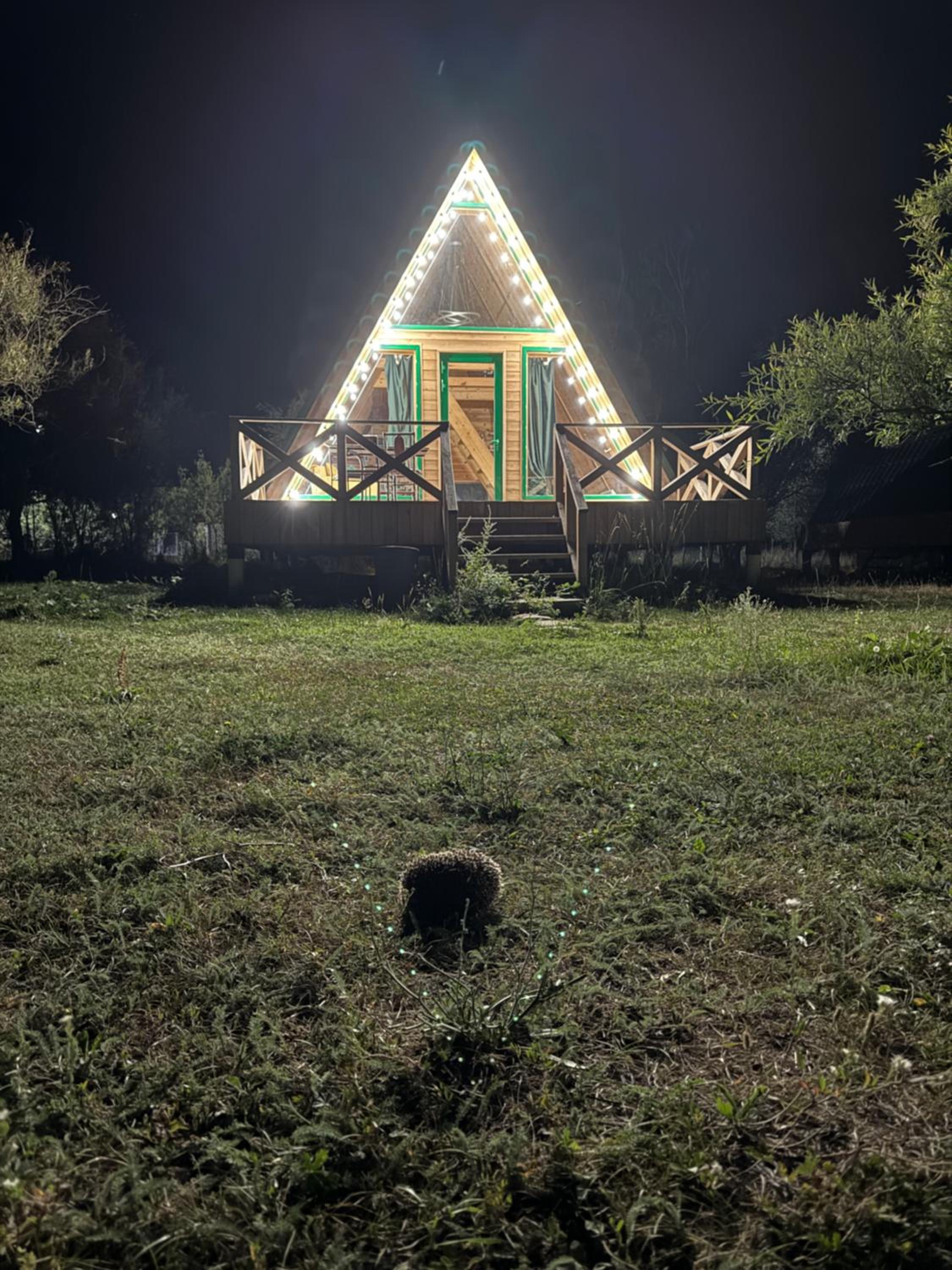 Turgensai