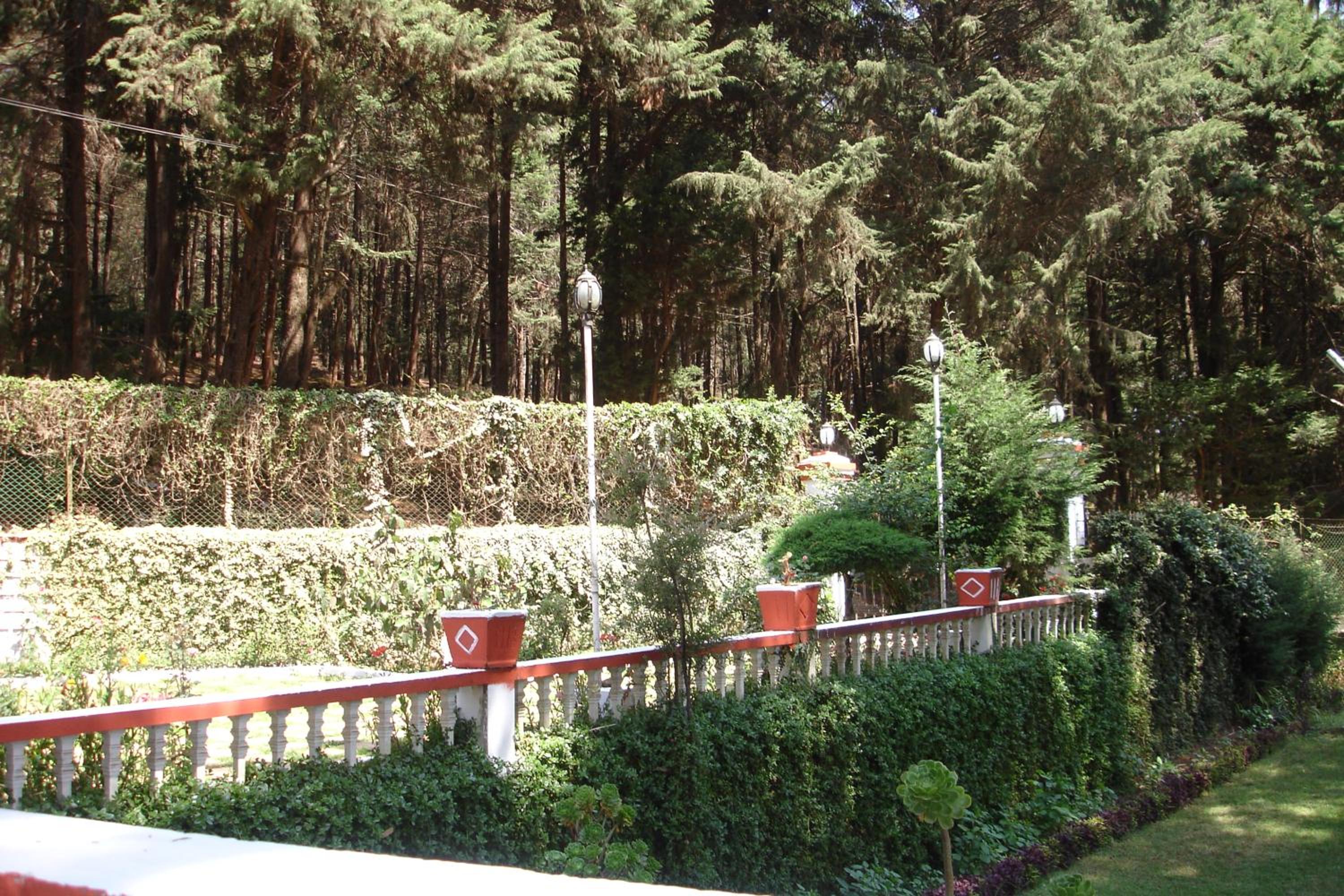 Photo 6