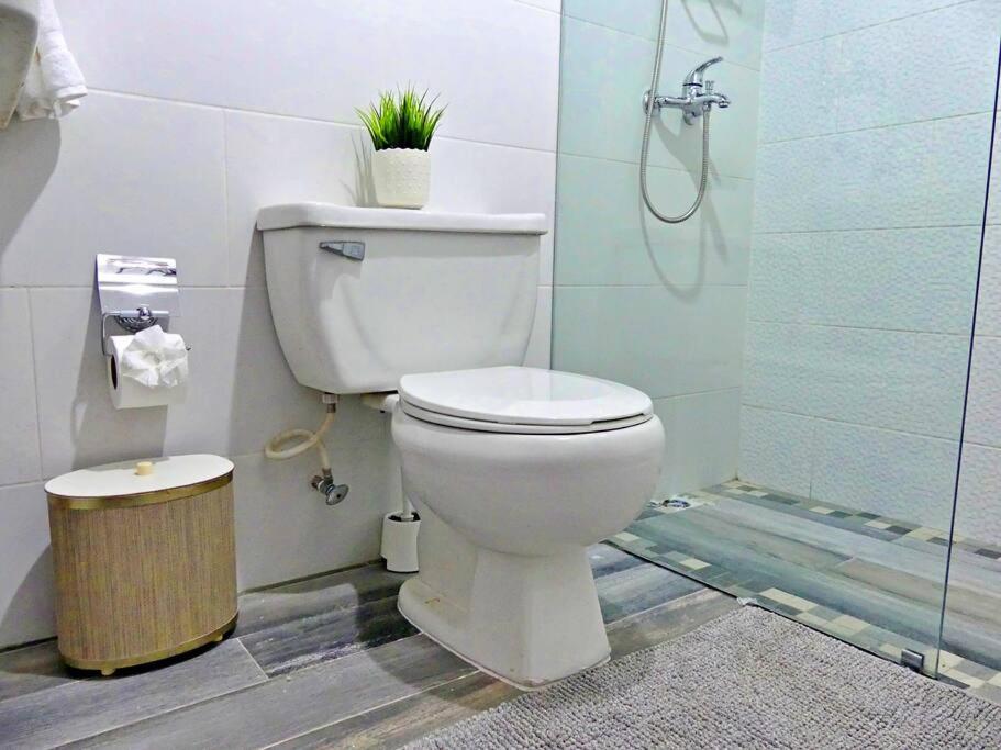 Villa Olga Studio