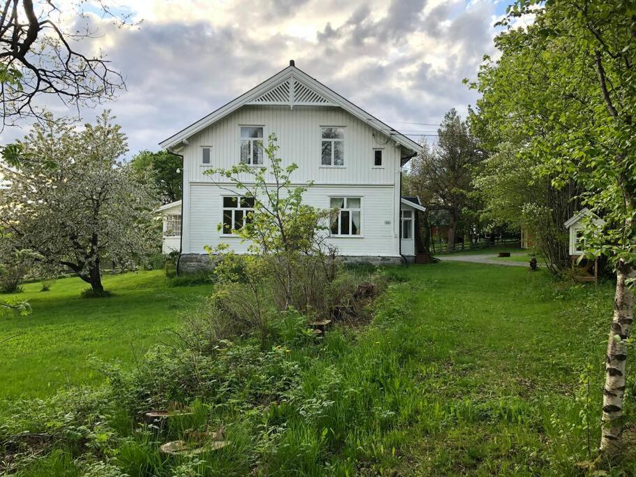 Photo 17
