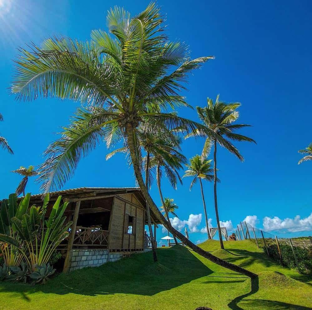 Apartamento Térreo 3 suítes Master Resort Treebies à Beira Mar Subauma Bahia