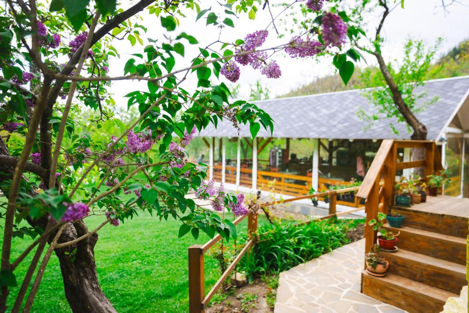 Alunis BUNGALOWS