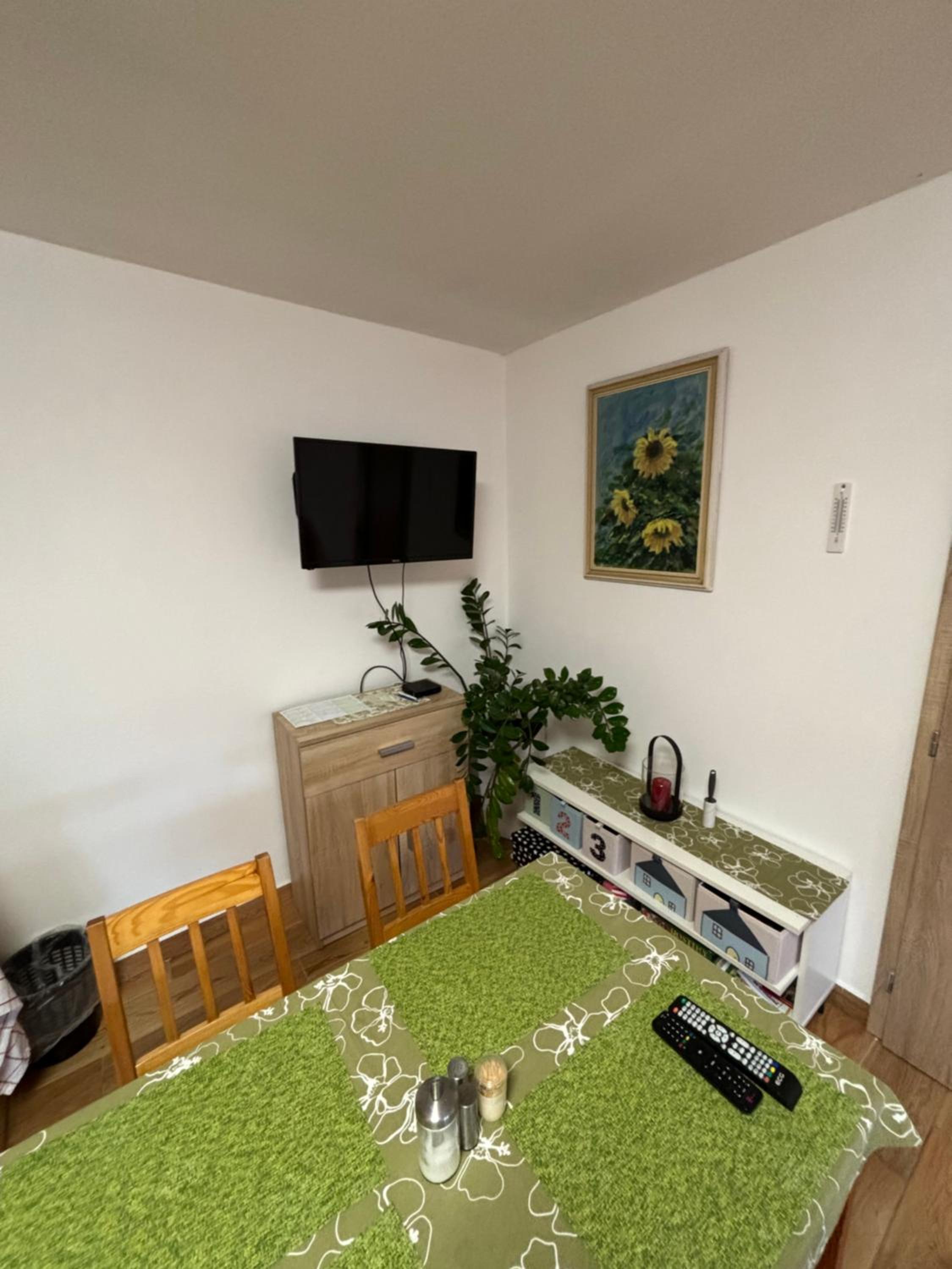 Apartmán pod kostelem view 5