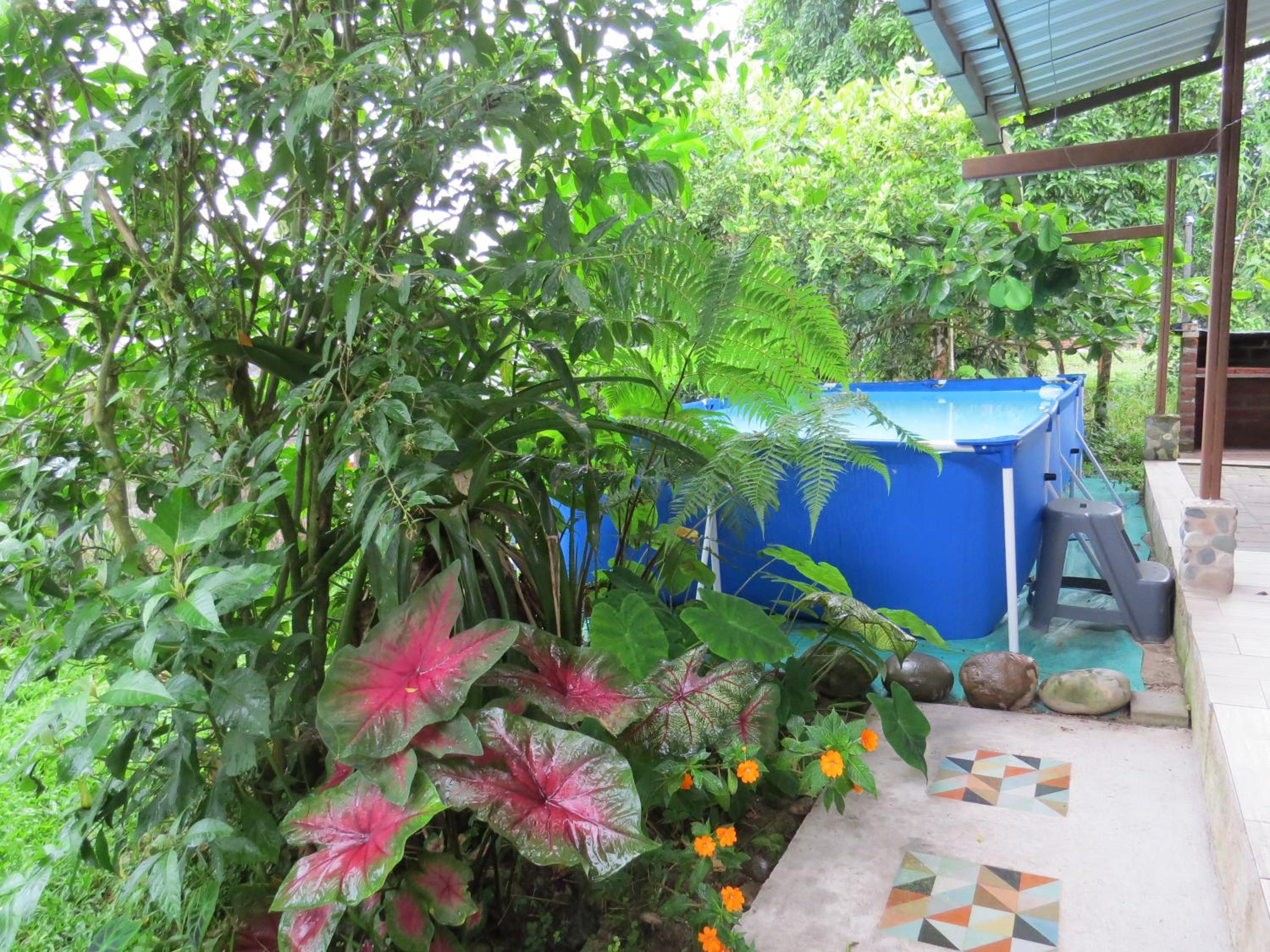 Hogar&Selva, casa vacacional