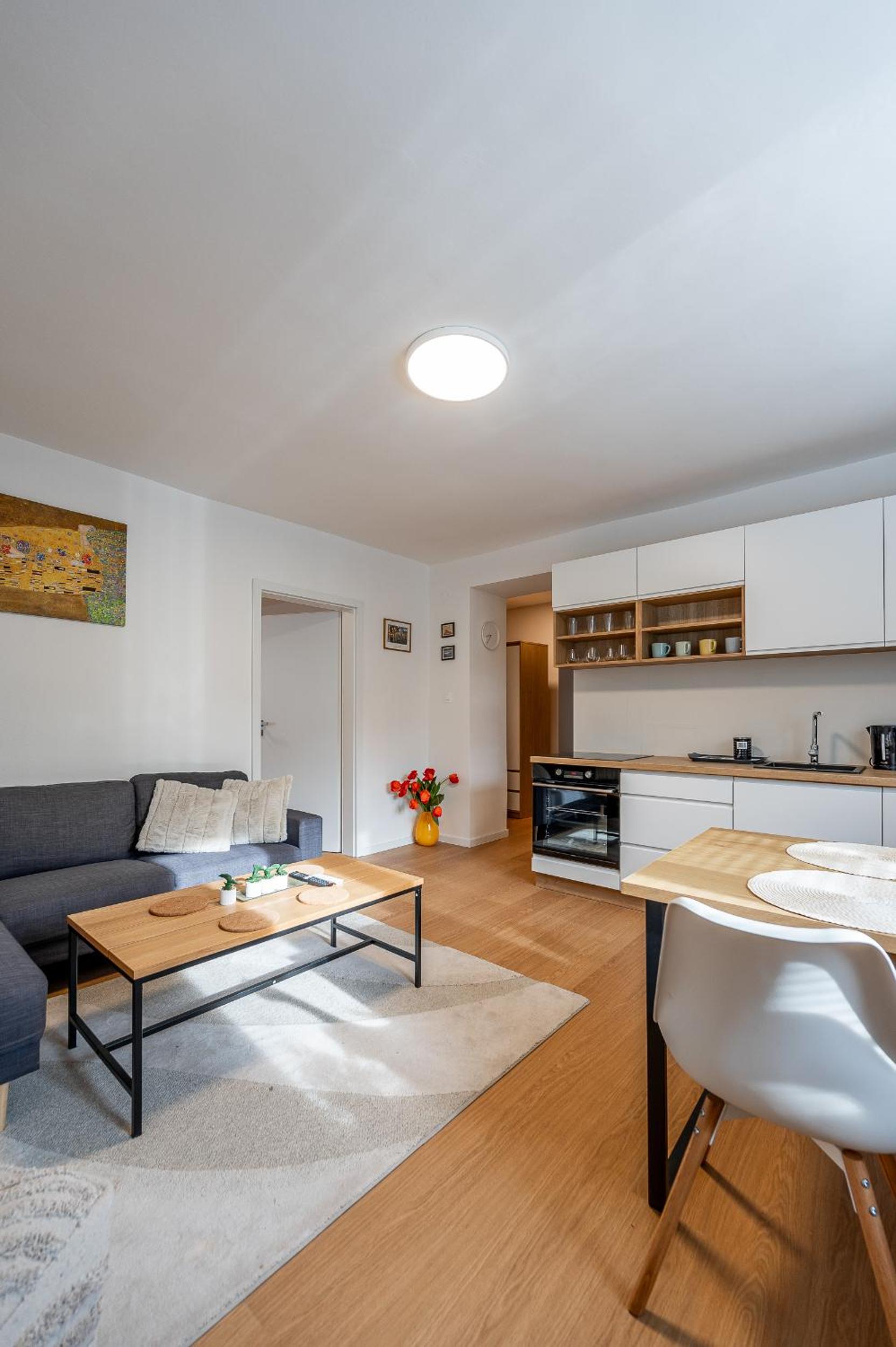 3 room Private Flat Kosice City Center FRESH and NEW Jarna view 5
