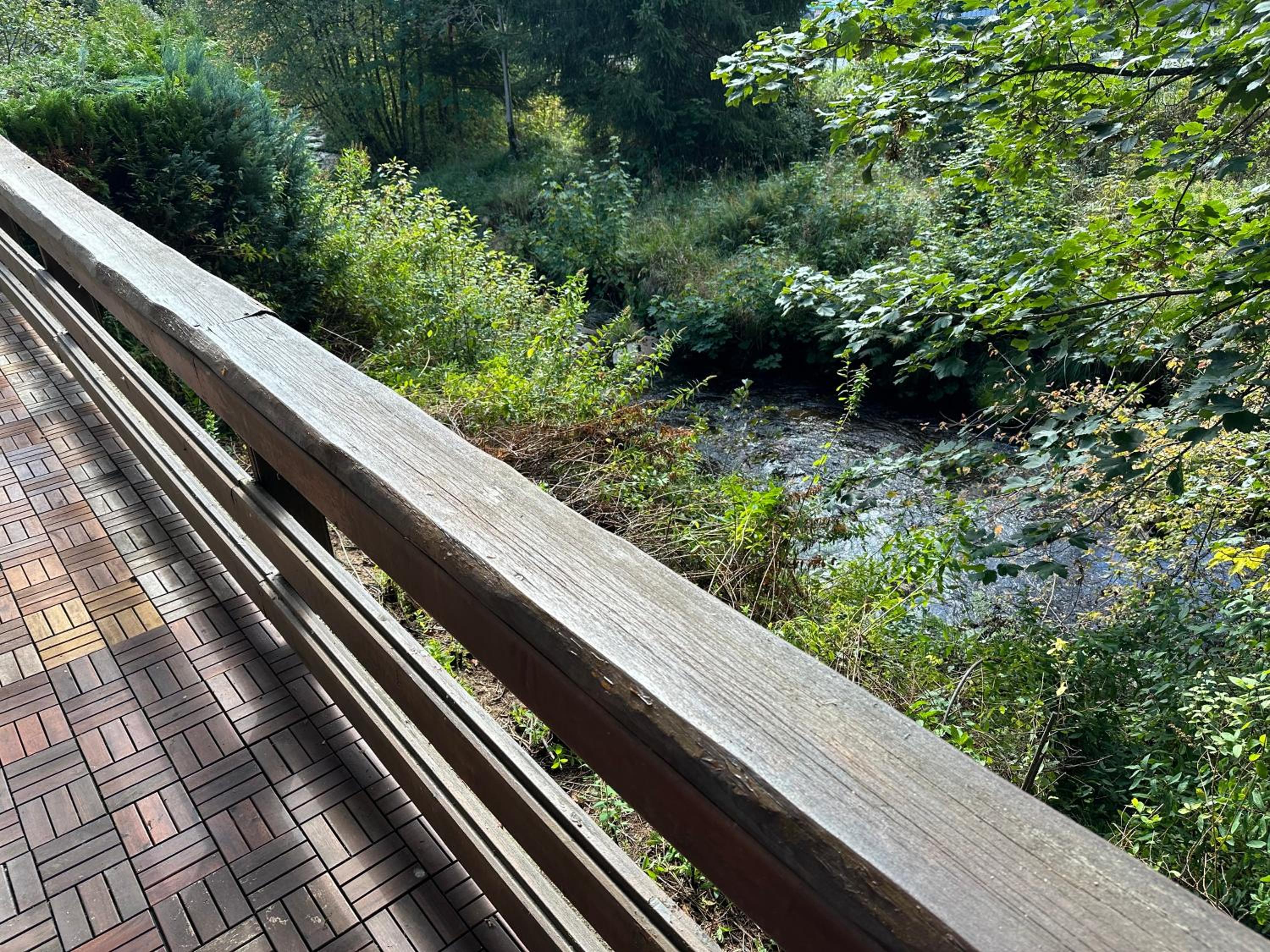 Ferienwohnungen Forellengrund Schierke