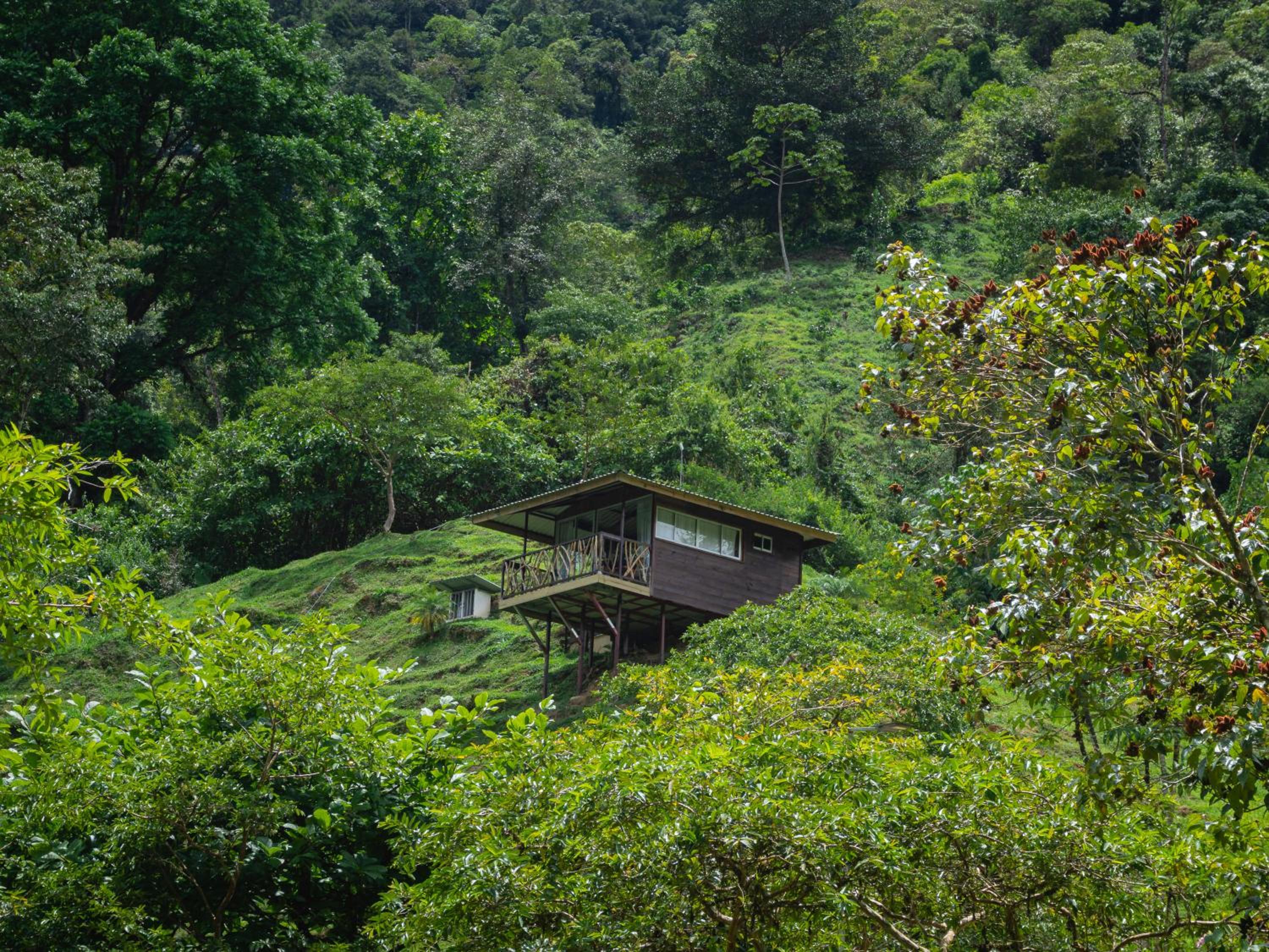 Hotel Rivel - Restaurant & Nature Retreat view 3