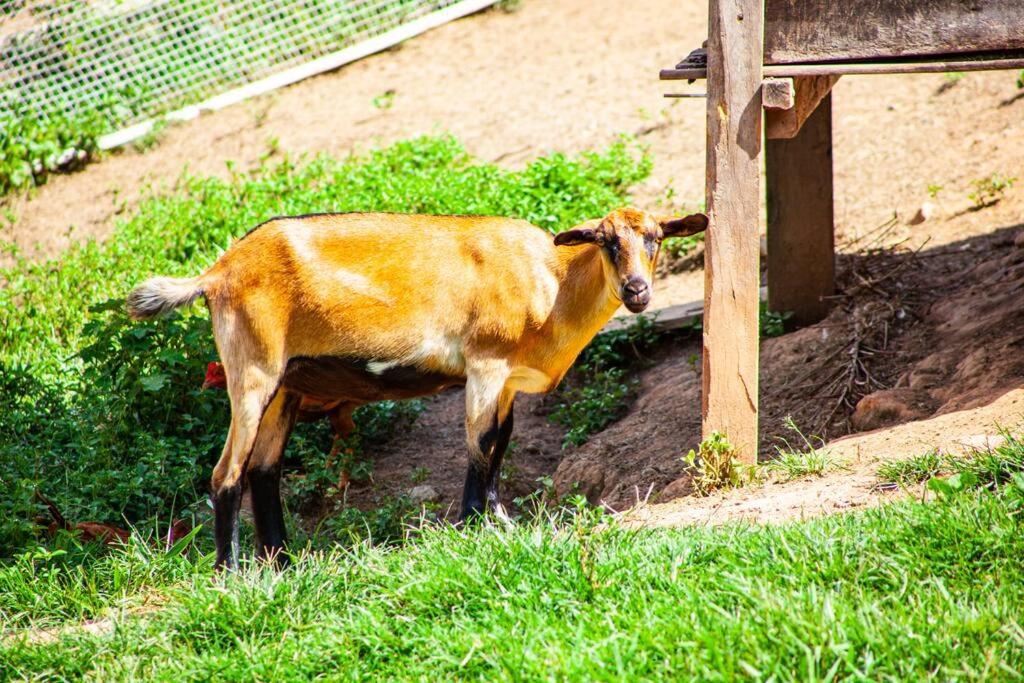 Rancho em Nazaré Paulista, Brasil