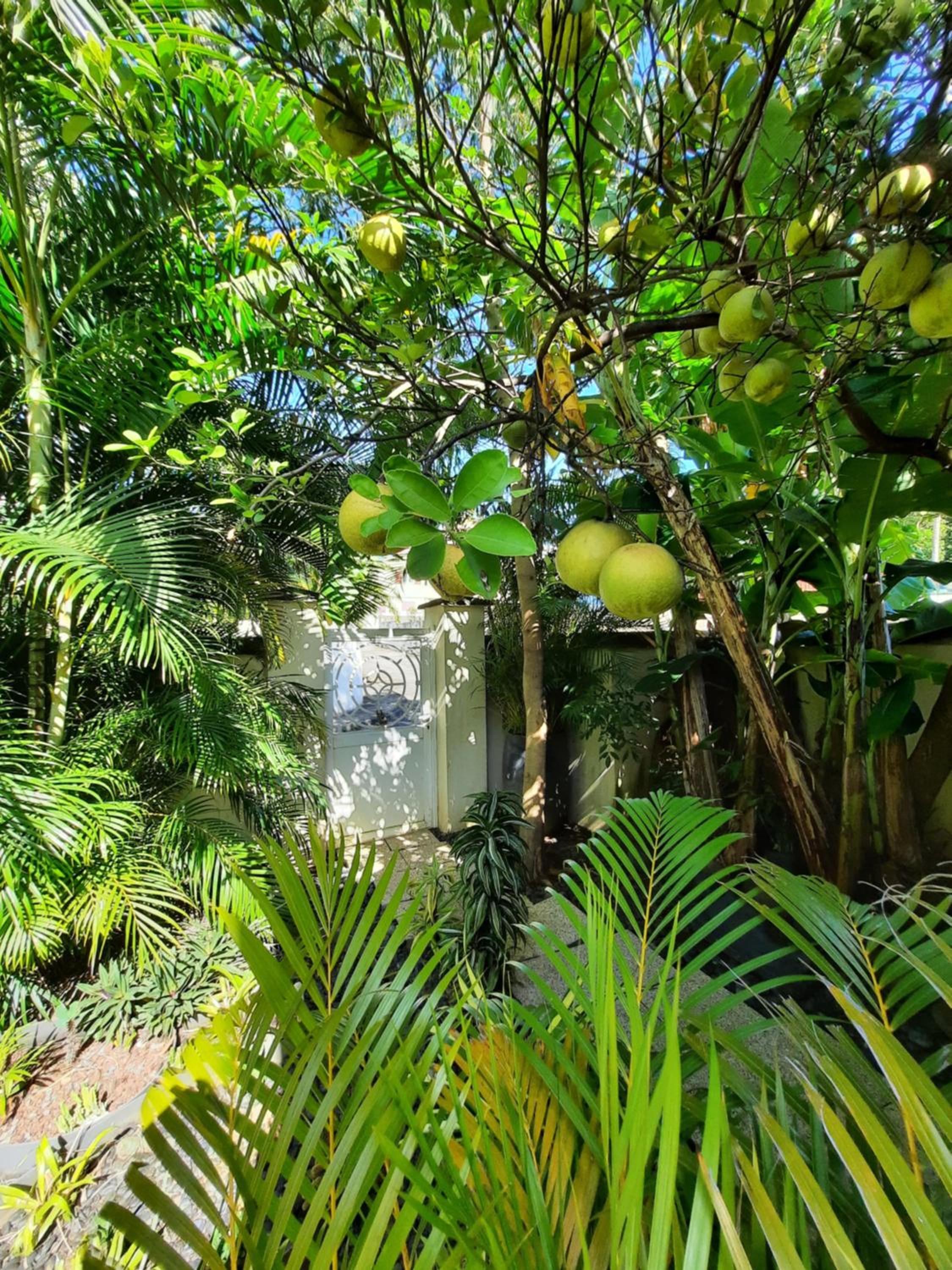 Jolie maisonnette, piscine, jacuzzi view 2