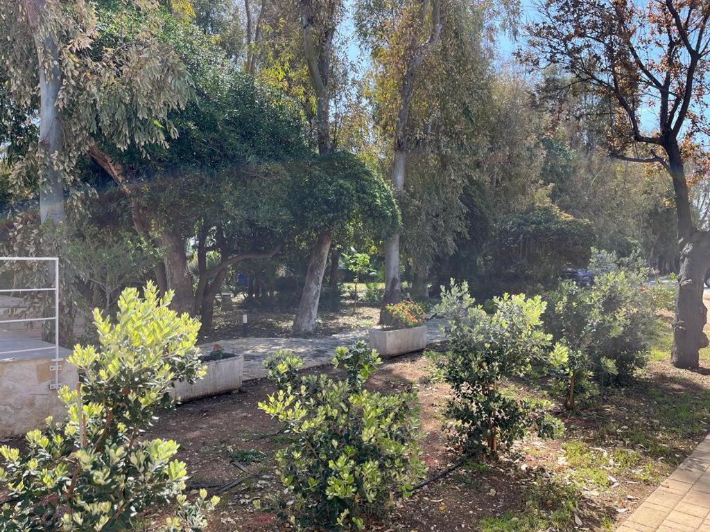 Villa Eucalipti sul mare view 2