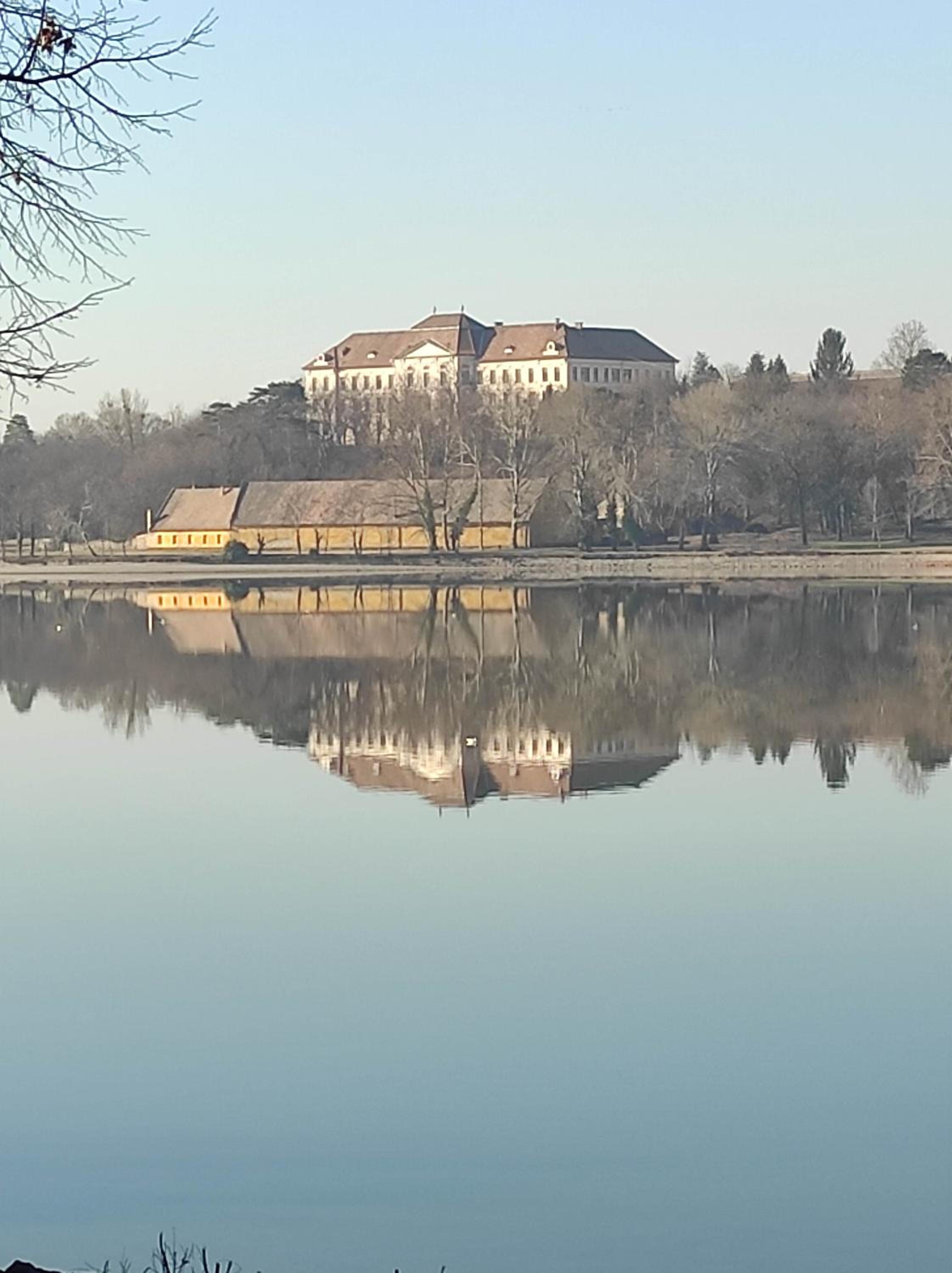 Tóvárosi apartman