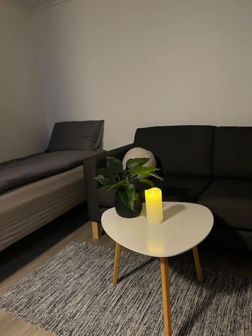 Tromsdalen Studio 2 - FREE Parking, Views & Quiet Area view 3