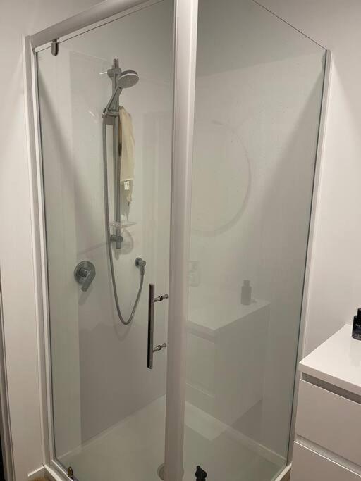 Brand new Convenient 2 Bedroom Apartment in Mornington Dunedin