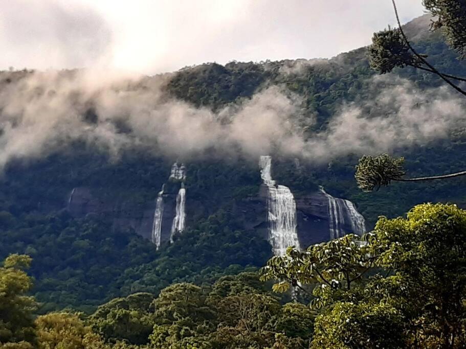 Casa das Araucárias - Sítio Salamandra, Vale do Matutu