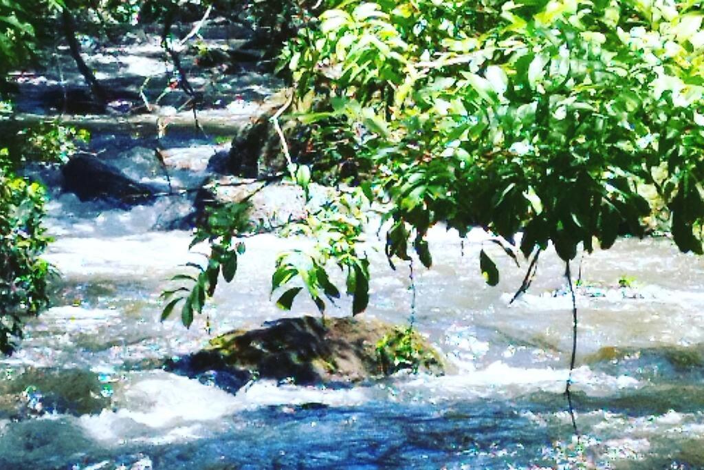 Casa das Araucárias - Sítio Salamandra, Vale do Matutu