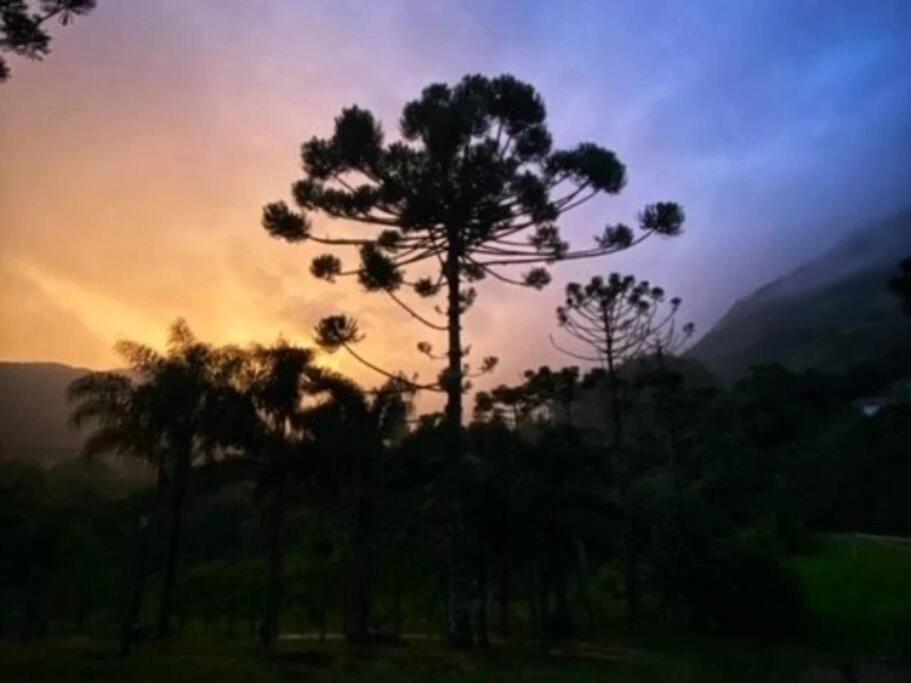 Casa das Araucárias - Sítio Salamandra, Vale do Matutu