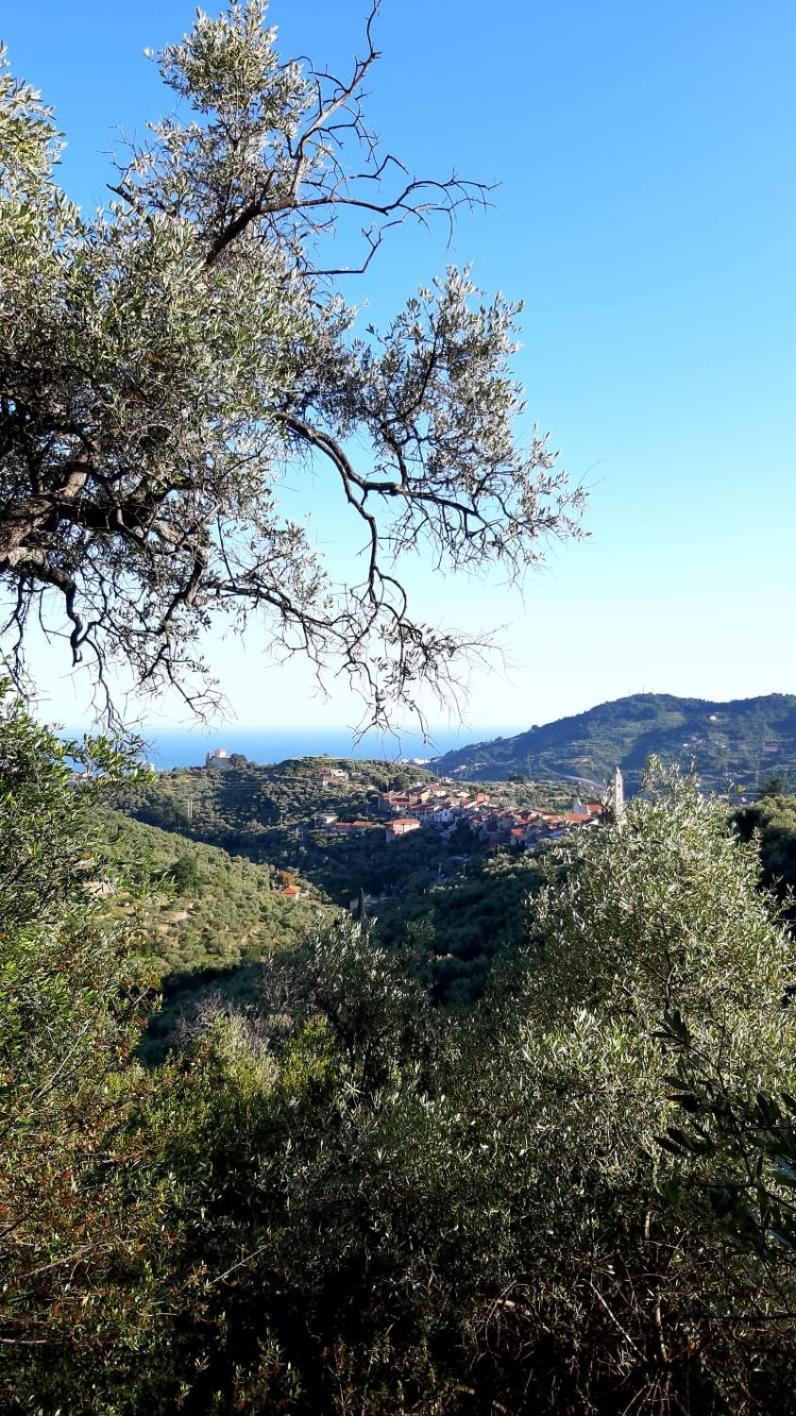 Casa Gelsomino