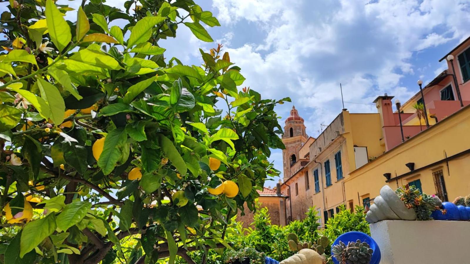 Casa Gelsomino