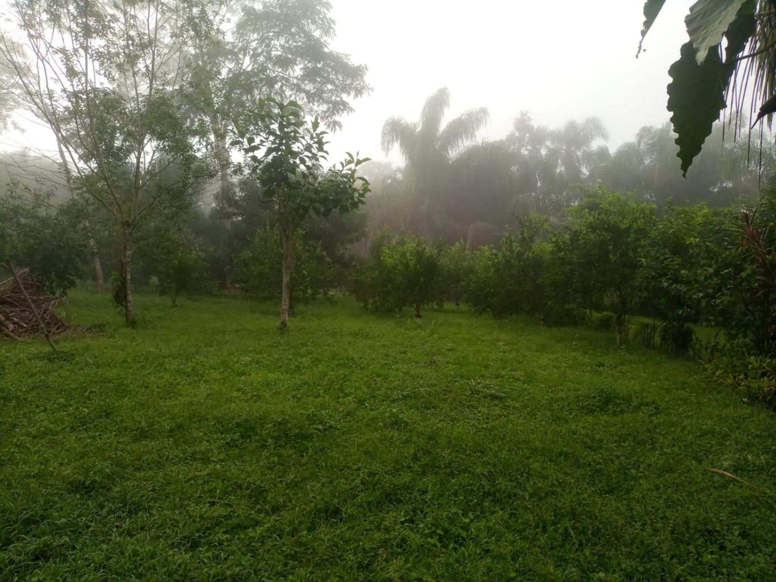 Casa de Campo Toborochi