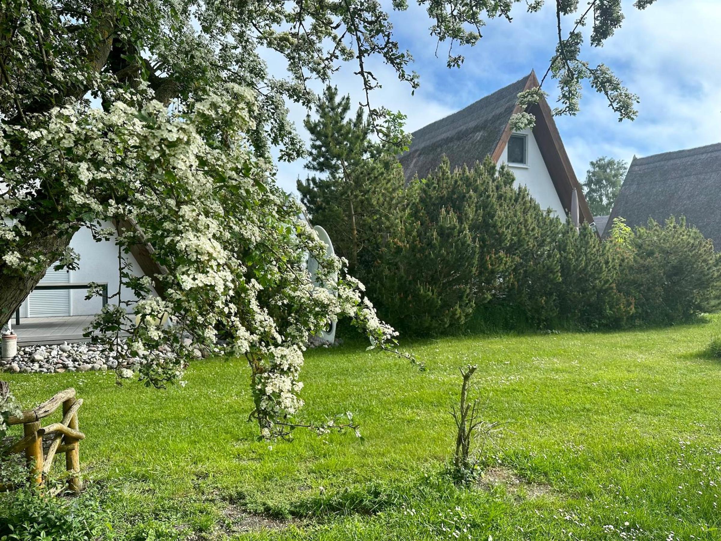 Finnhütte Nr.42 auf Mönchgut
