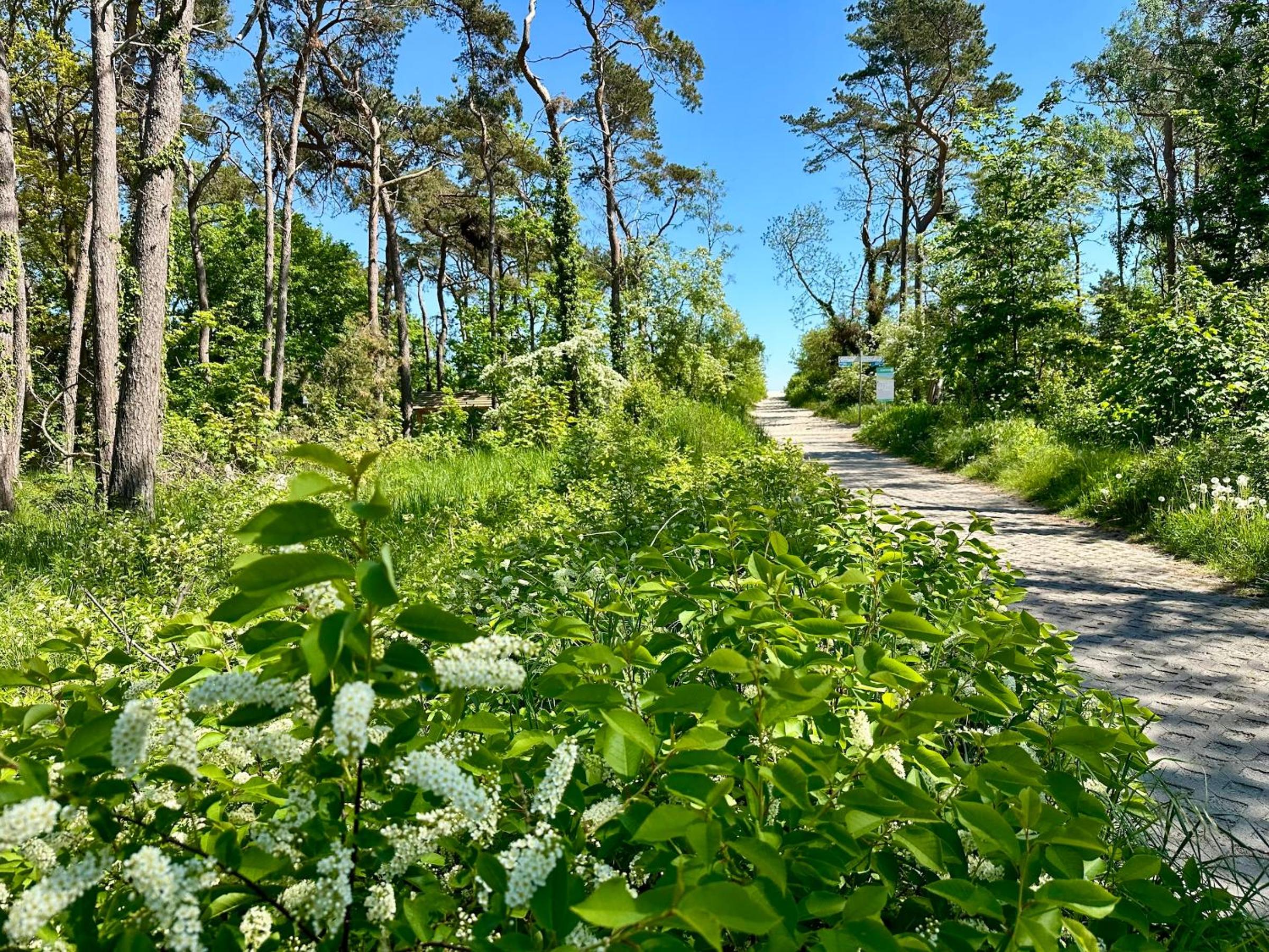 Finnhütte Nr.42 auf Mönchgut