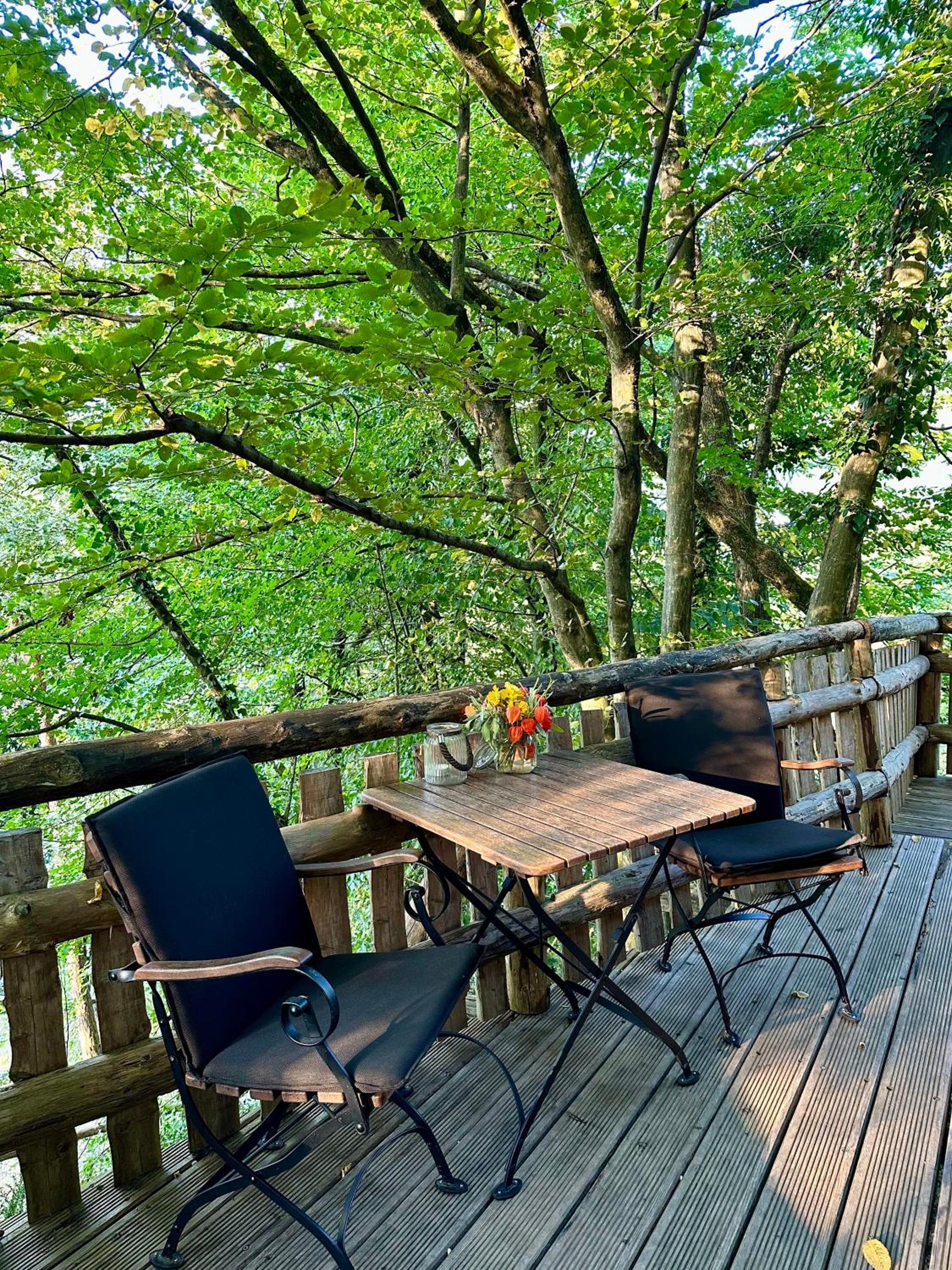 Glamping Savinja