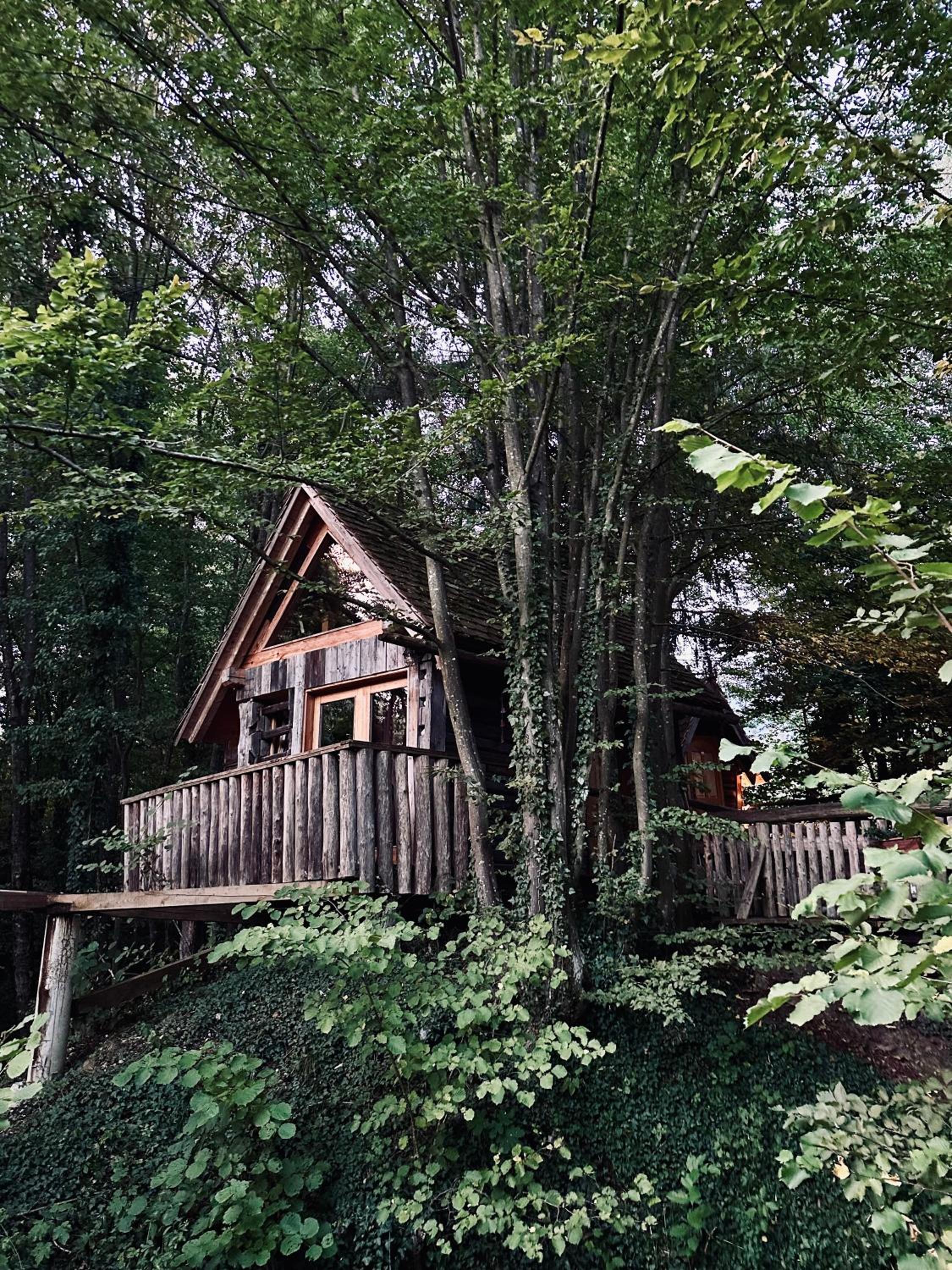 Glamping Savinja
