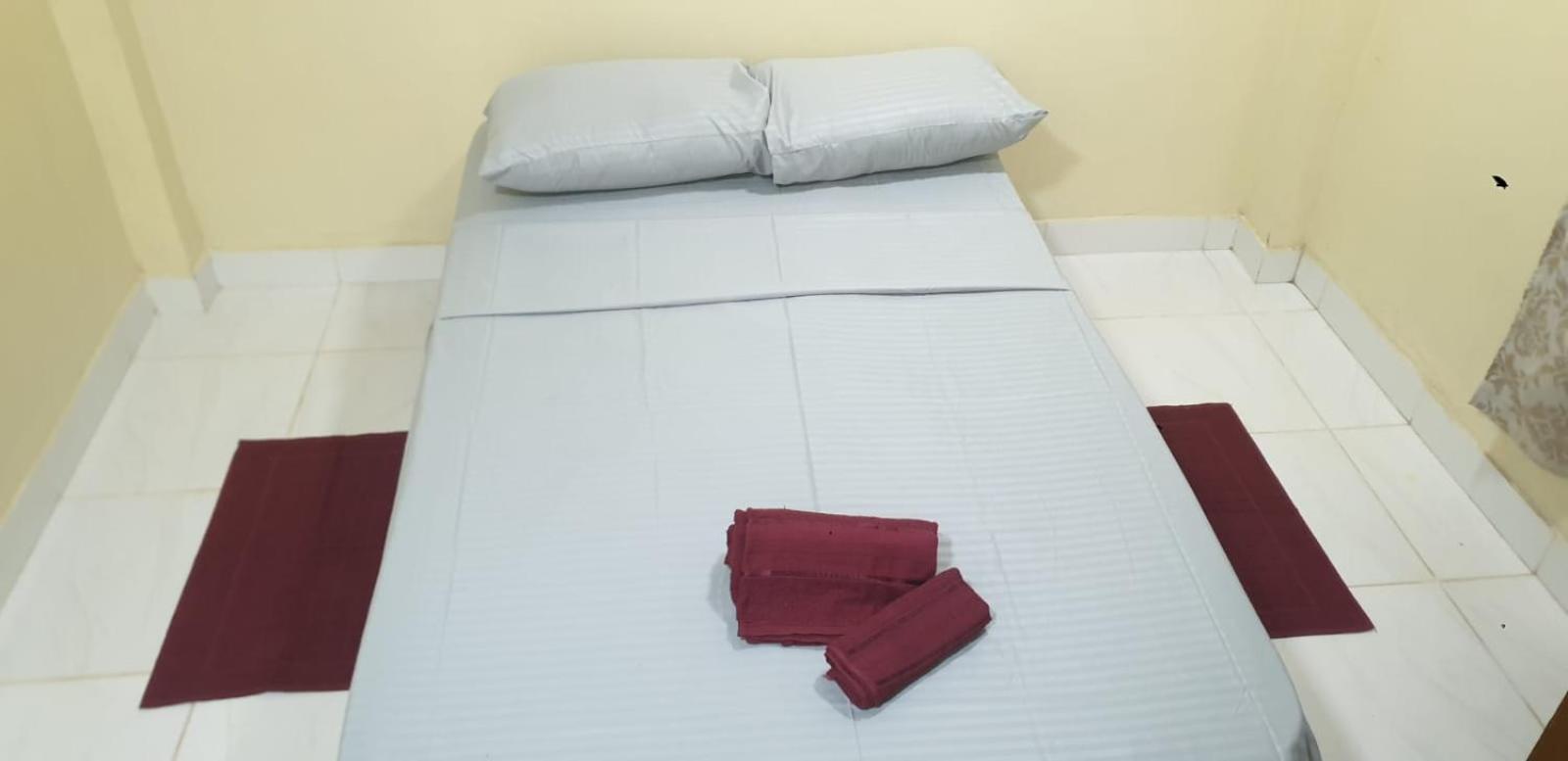 dormisErro