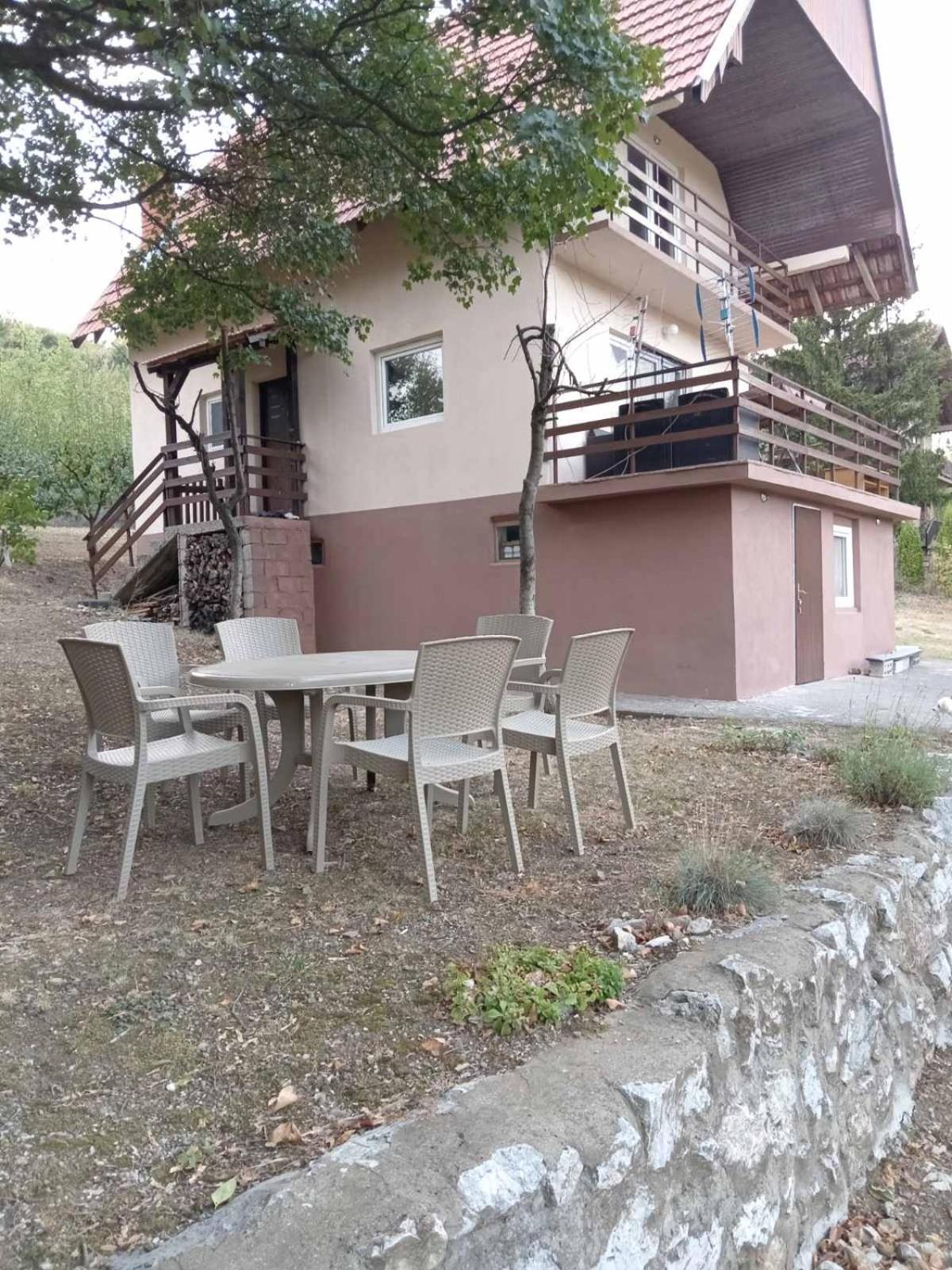 Vila Tea Borsko Jezero view 2