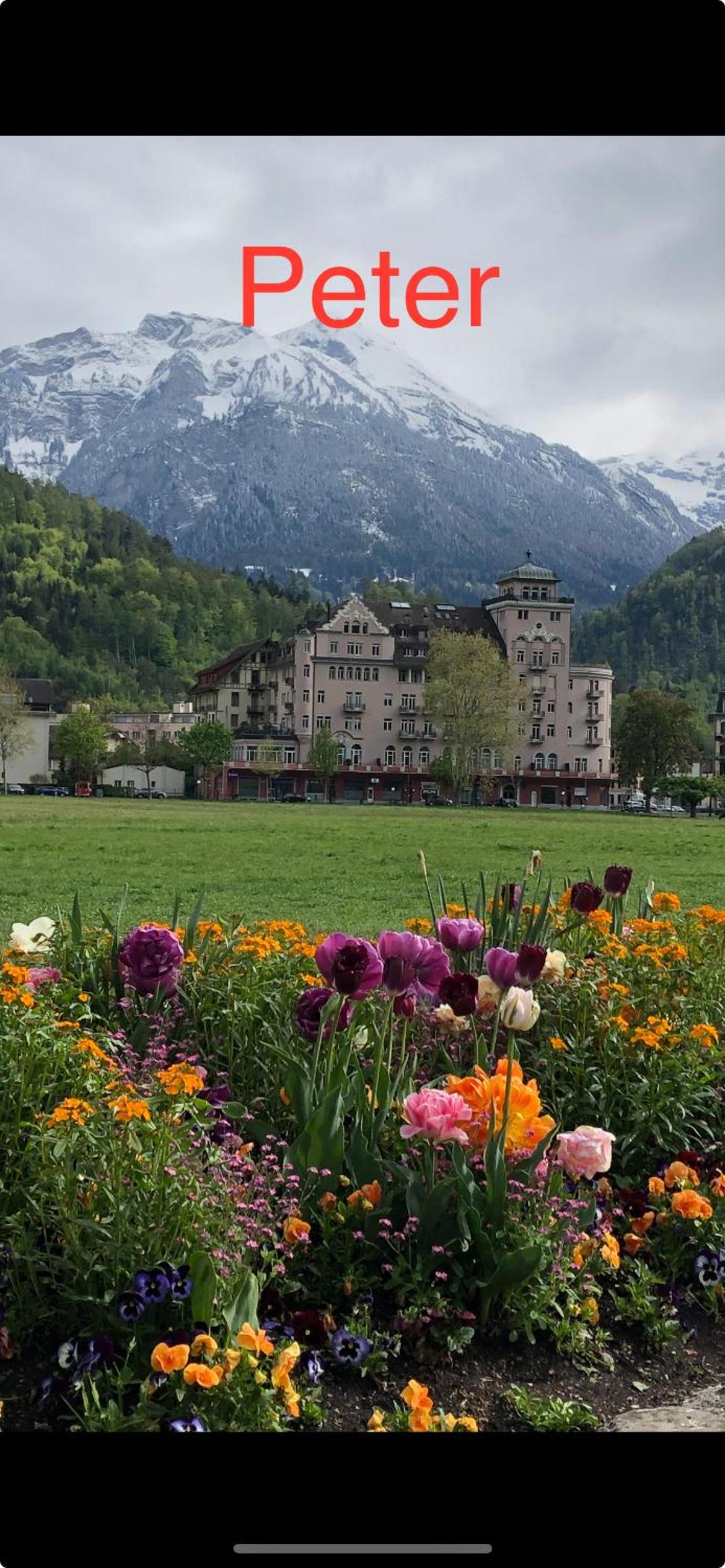 Hotel Apartment Peter