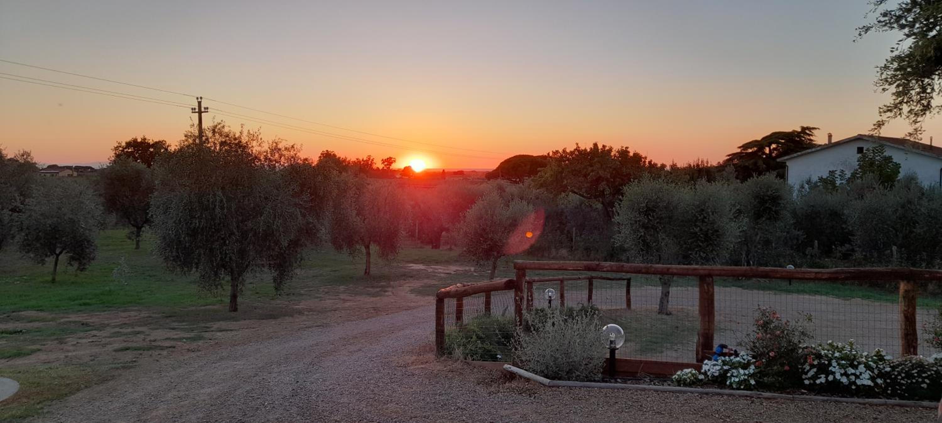 Agriturismo IL VECCHIO OLIVO, Billede 34
