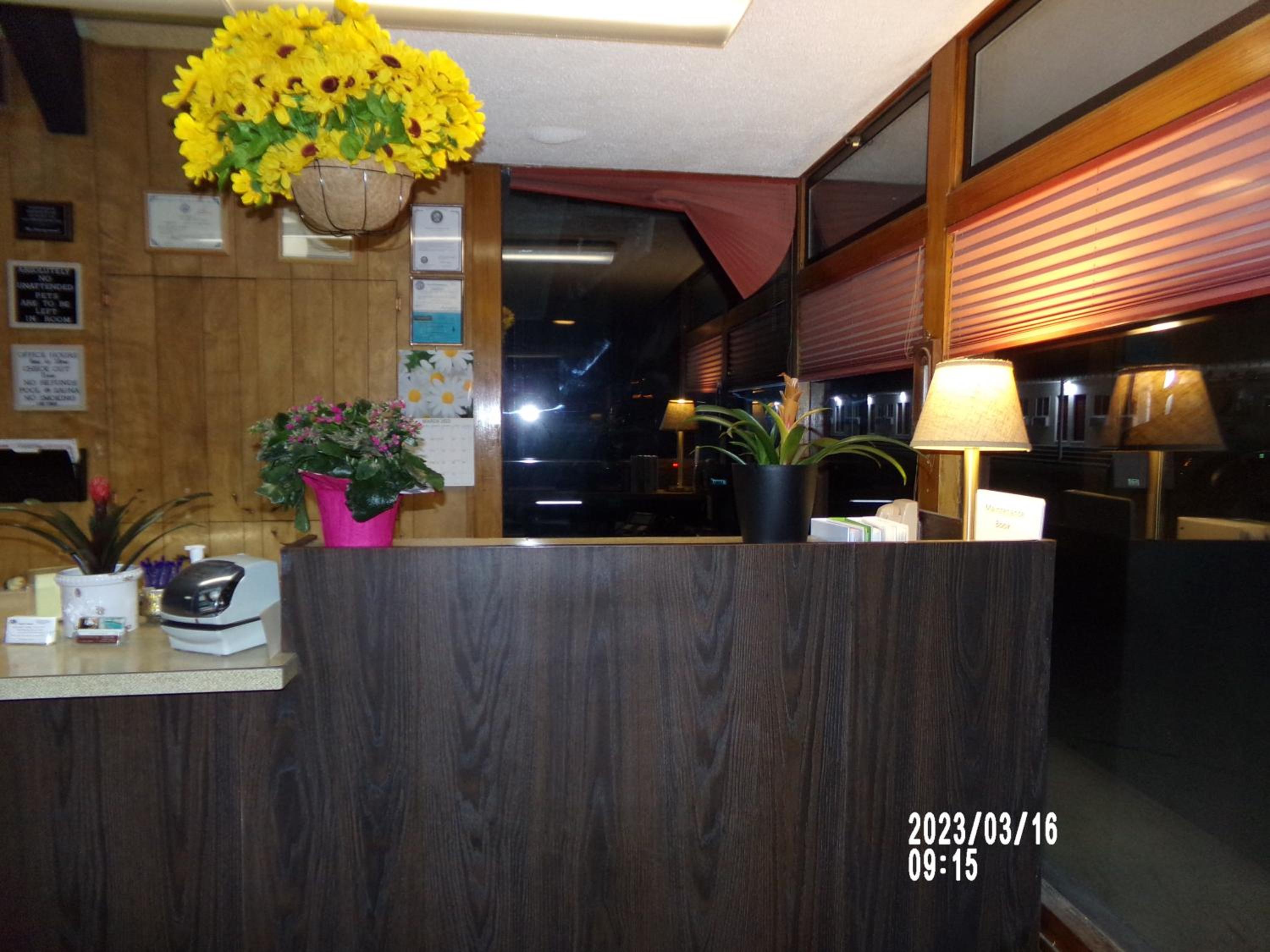 Photo 10