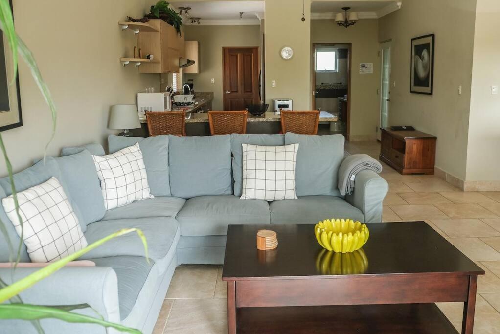 Fantastic Penthouse, Cabarete bay