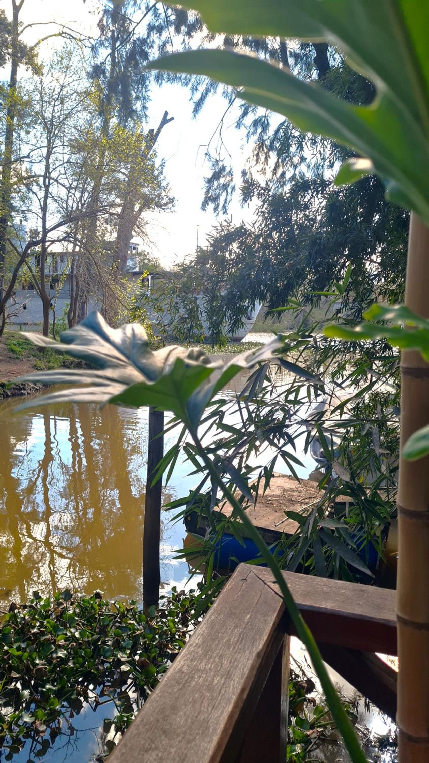 Cabaña Las Casuarinas del Delta de Tigre
