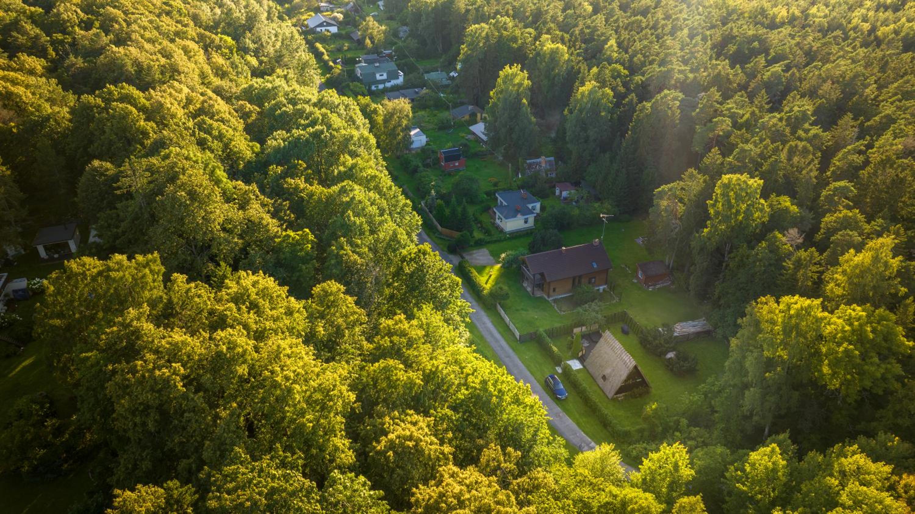 Roo Resort