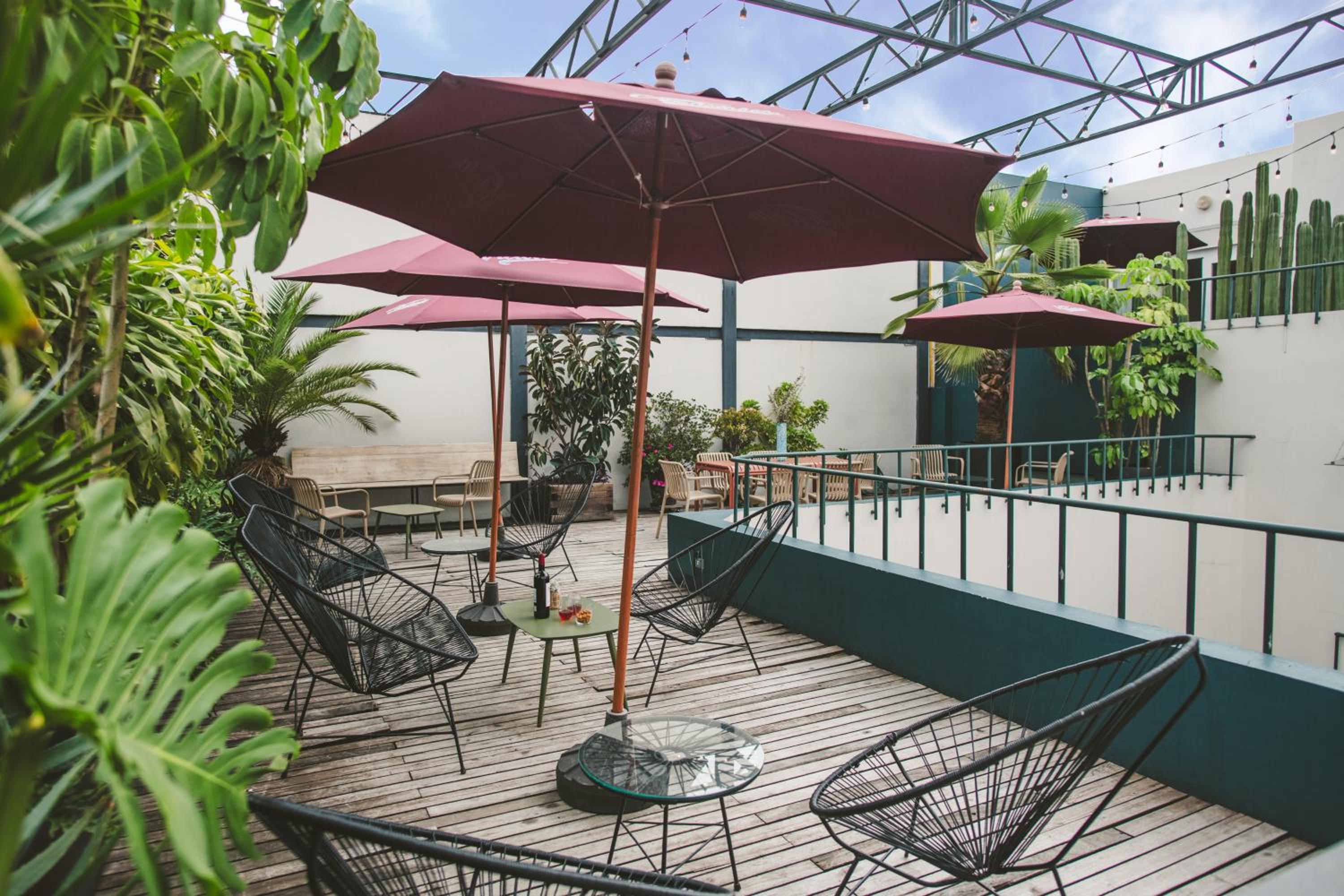 Stylish Colonial Stay in Roma Norte W Rooftop 8BR photo 4