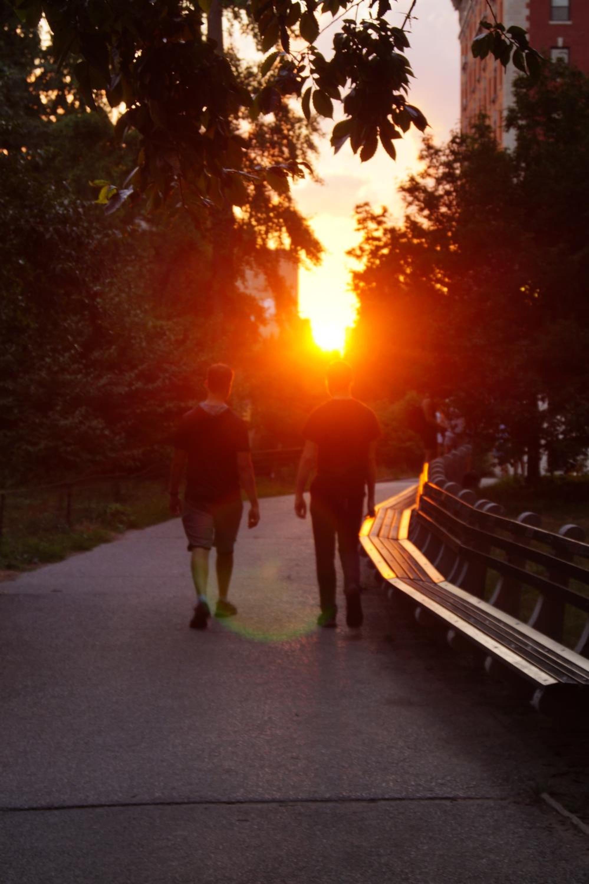 Macaw Guest House - Image 5