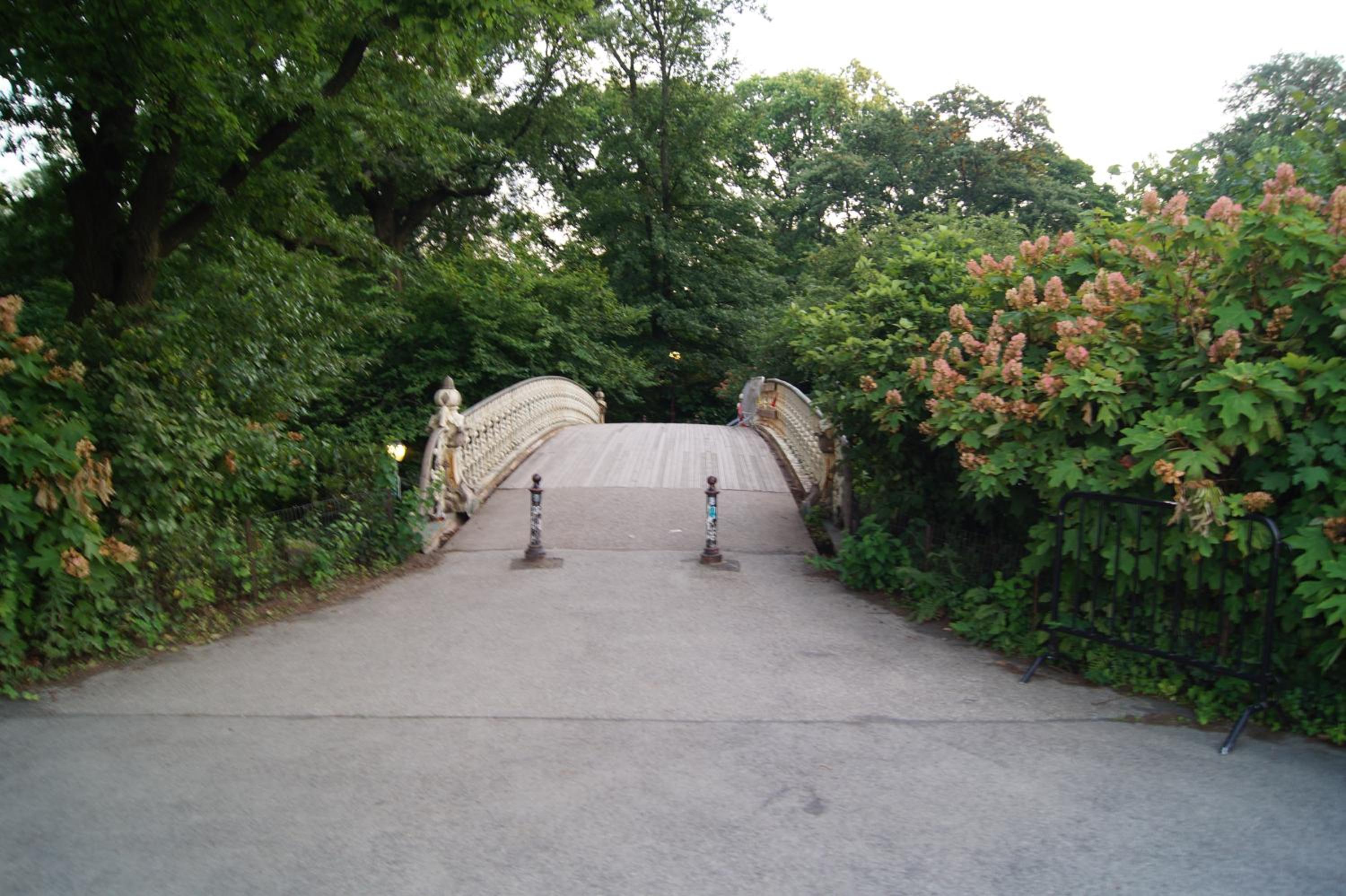 Macaw Guest House - Image 3