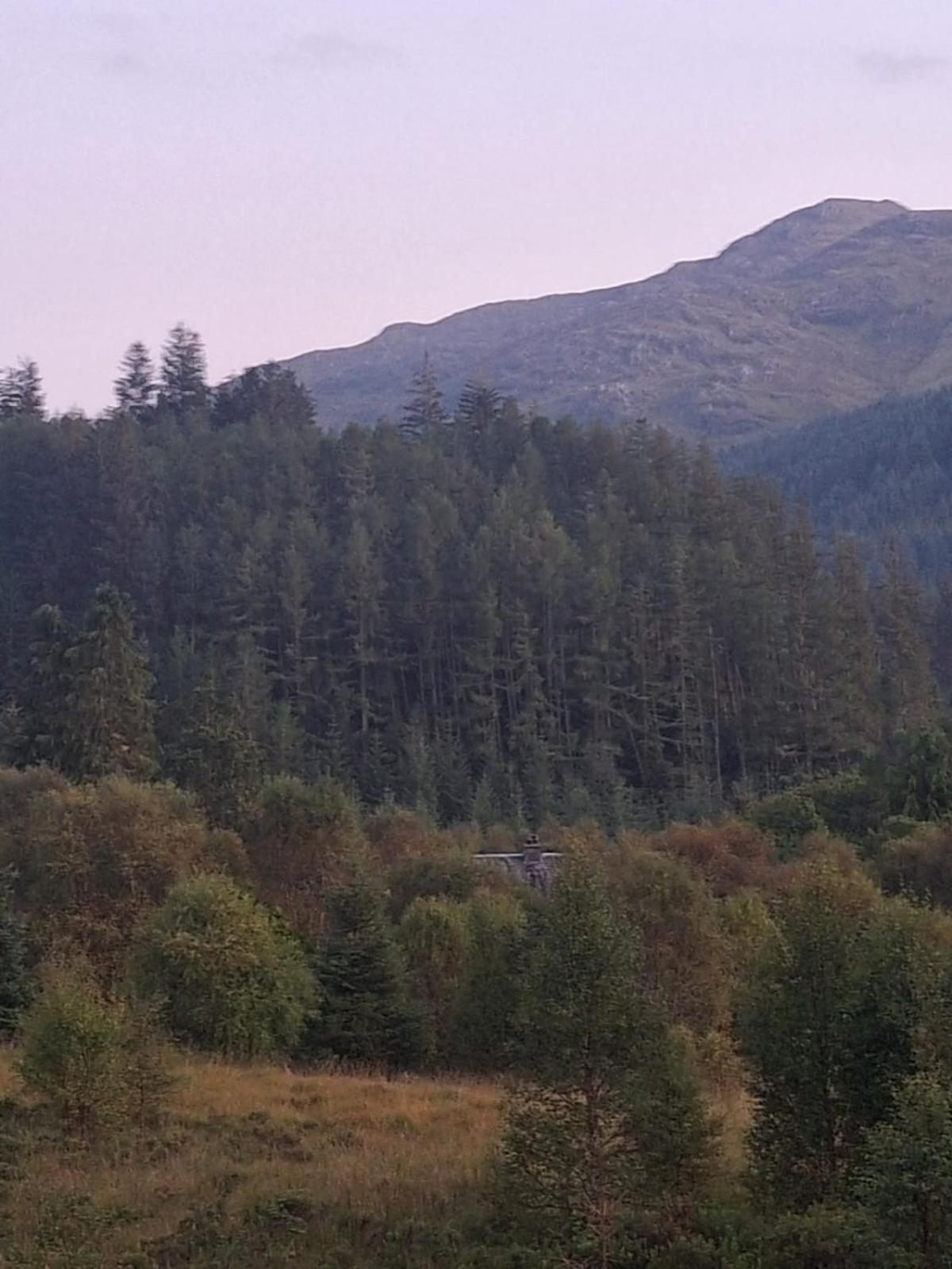 Twin Deer Lodge view 2