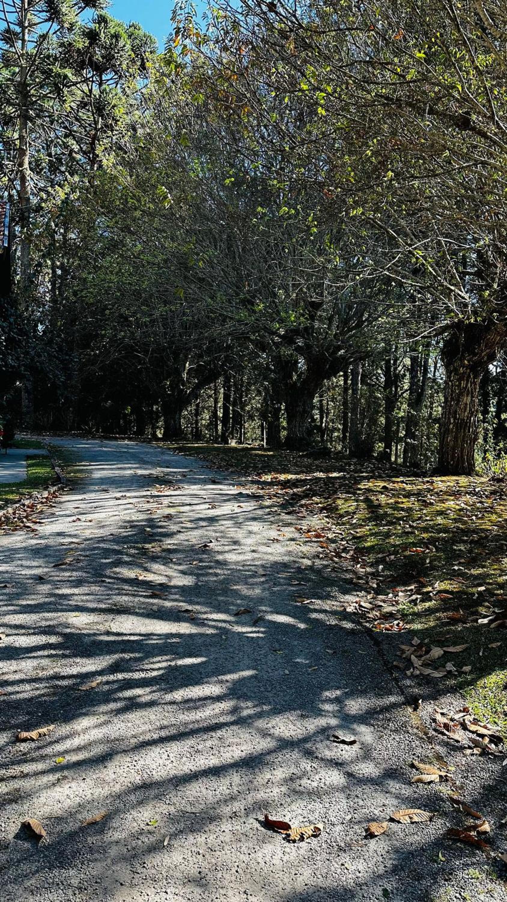 Casa do Bosque