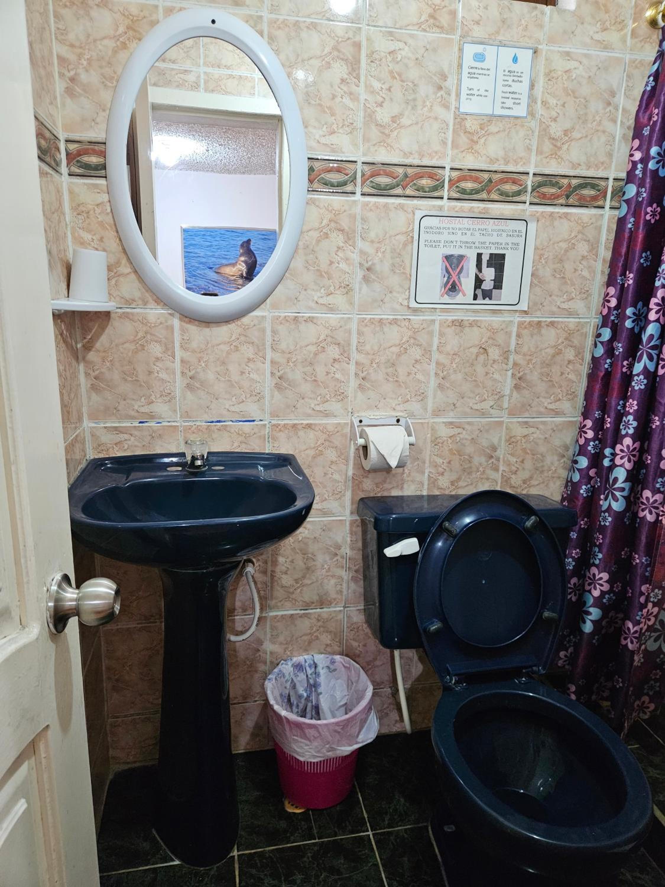 Photo 49
