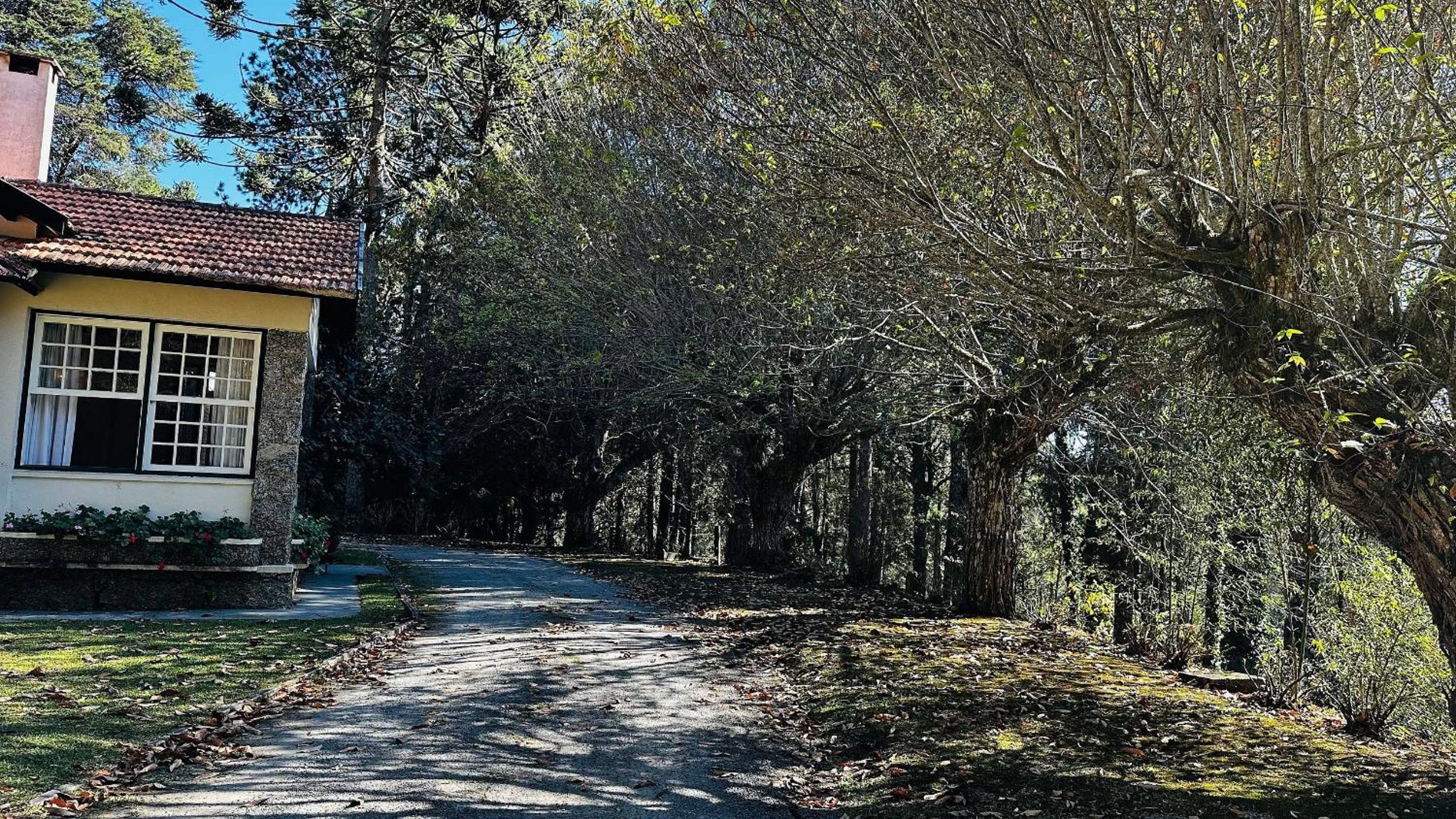 Casa do Bosque