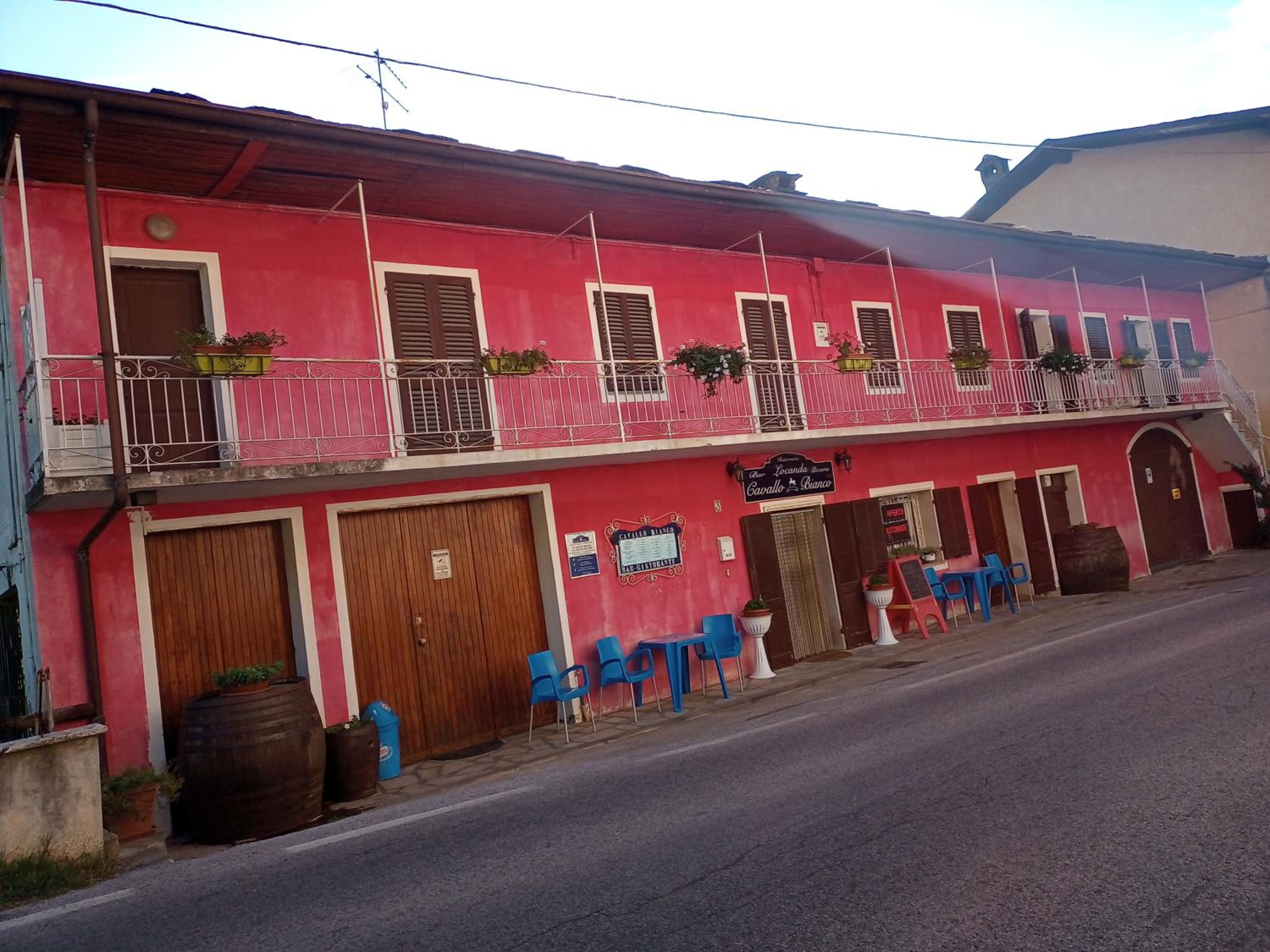 Le Primule