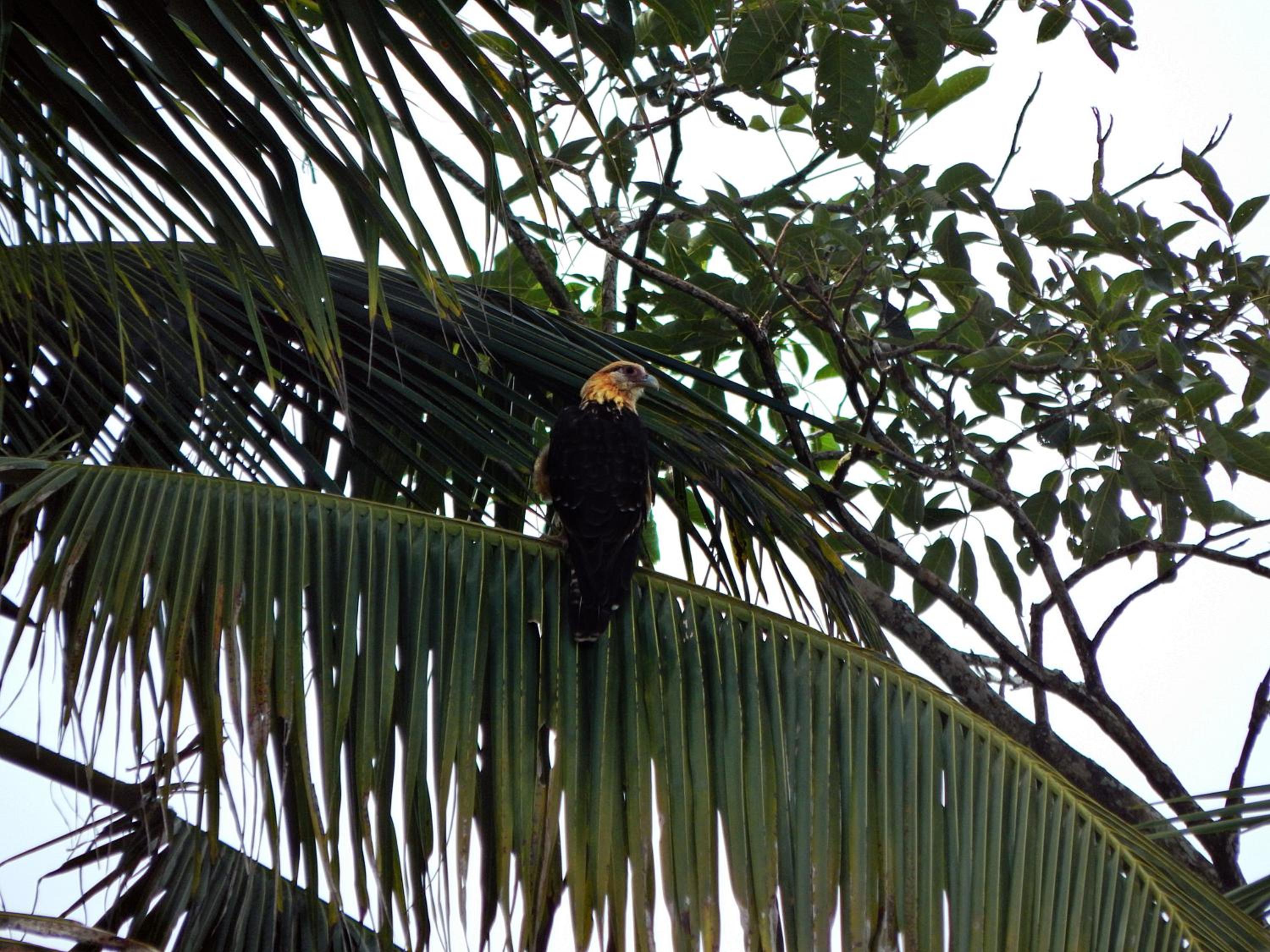 Melo Party Hostel Capurgana