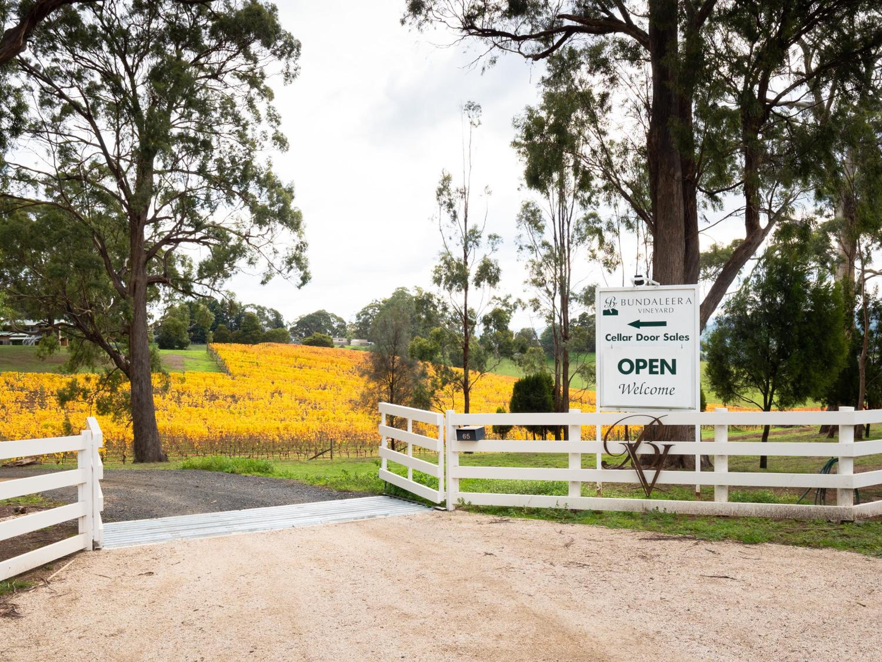 Bundaleera Vineyard and Farm Stay