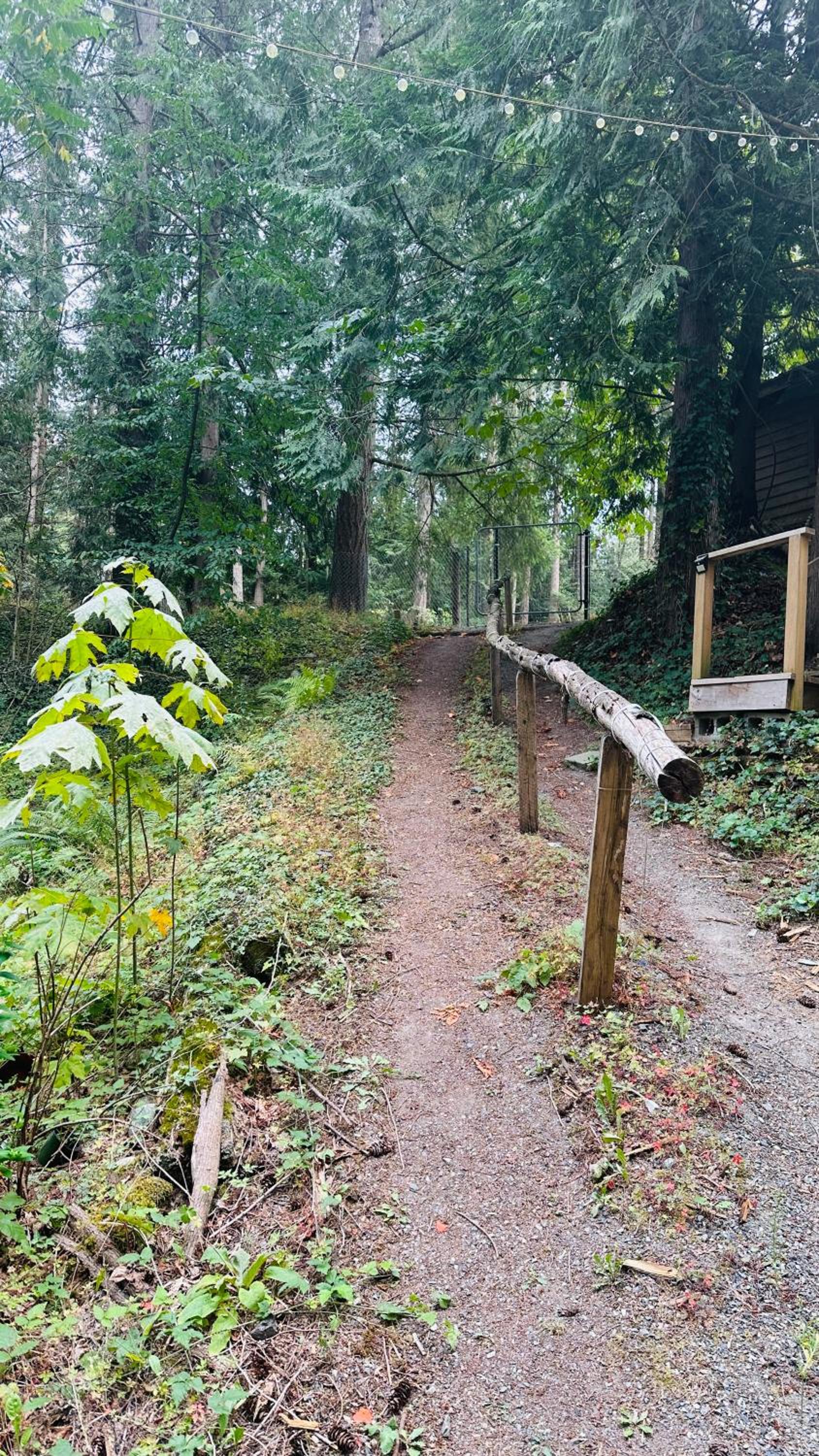 Cabin in the woods @ Cultus Lake