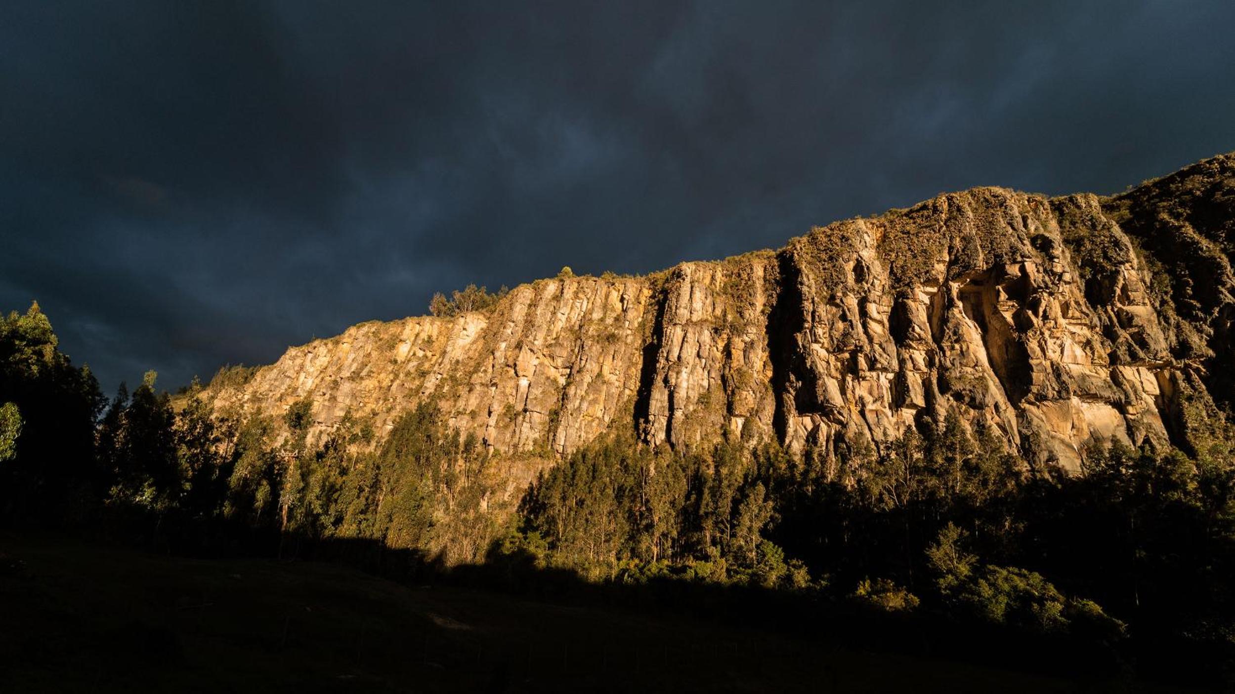 Cabaña Tyto Alba