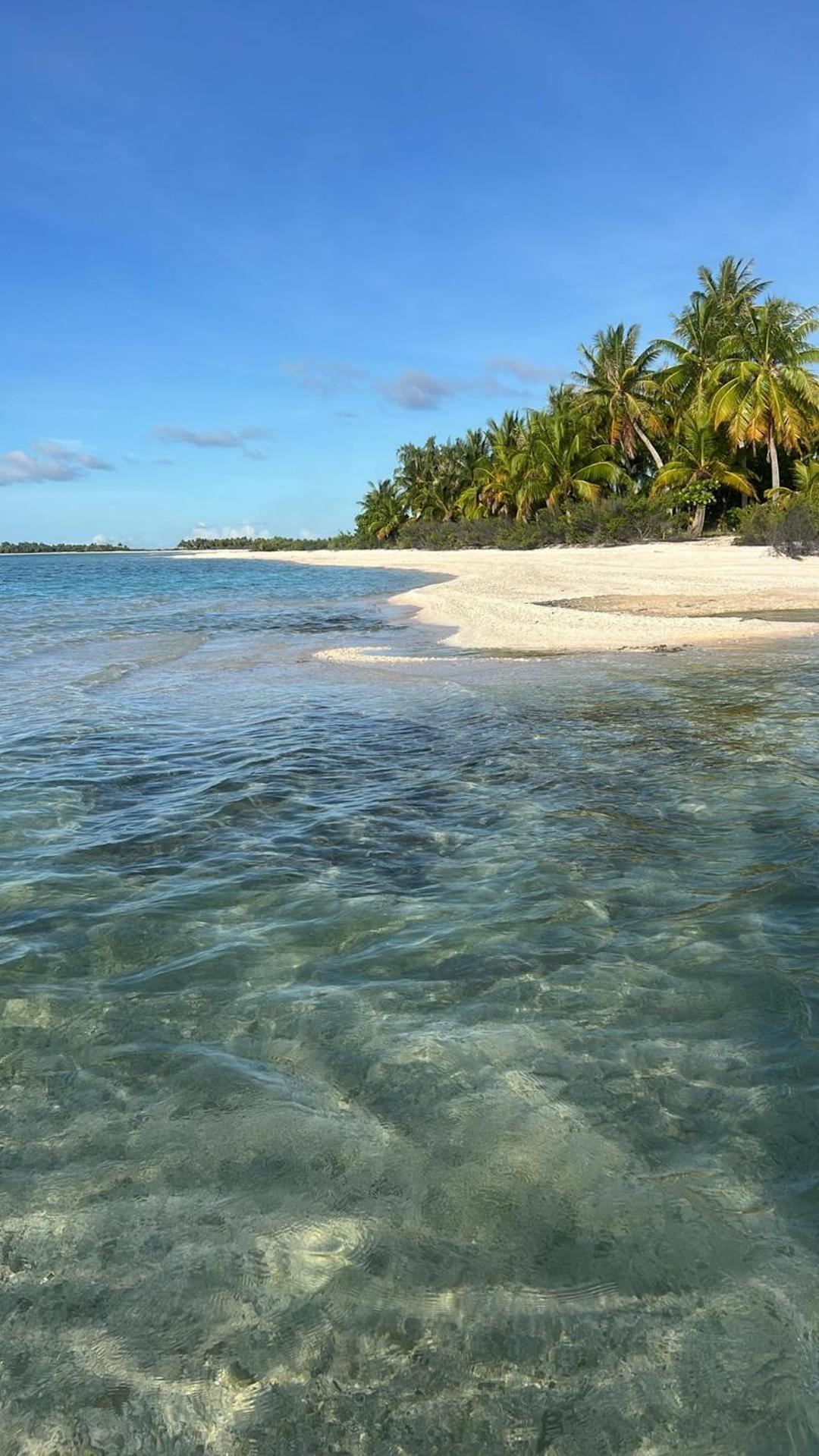 Tikehau Fare Li mei view 4